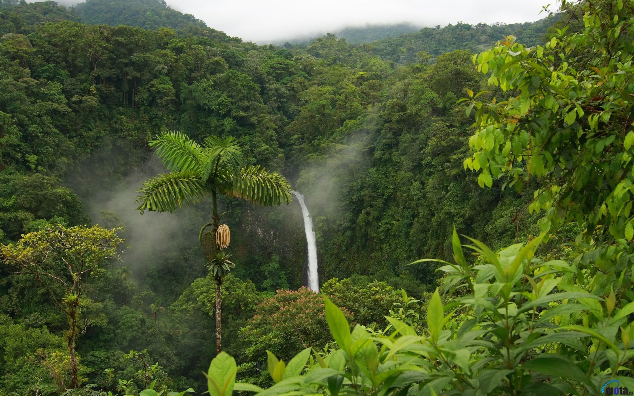 La Fortuna Waterfall, Costa Rica Wallpaper, 2560x1600 HD Desktop