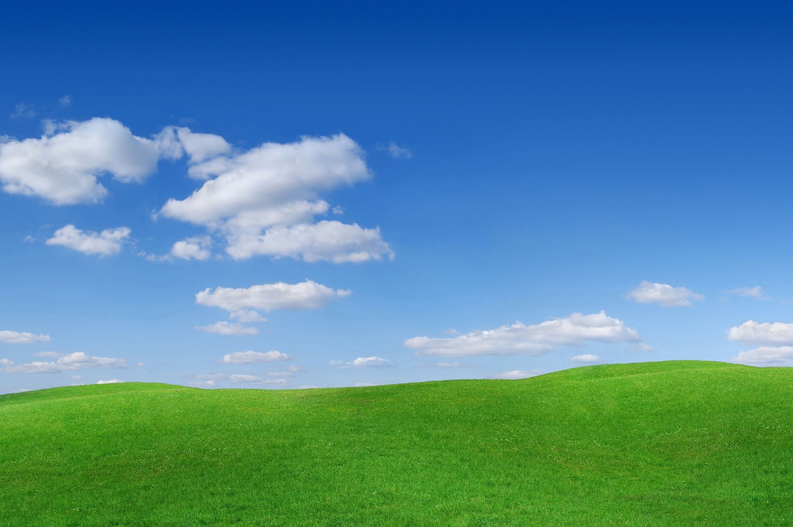 Field sky grass, Nature's canvas, Open spaces, Expansive views, 2560x1700 HD Desktop