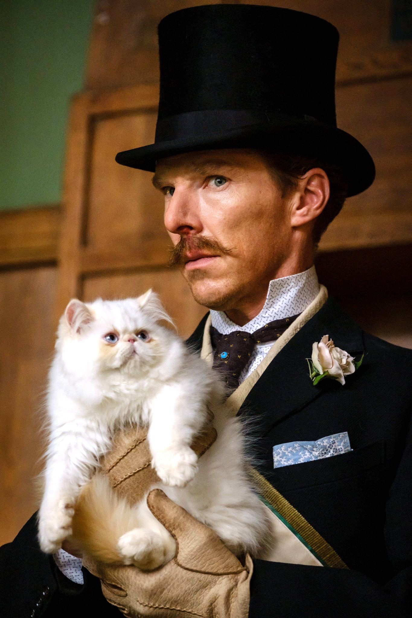 Electrical Life of Louis Wain, Benedict Cumberbatch, Trailer, Upcoming, 1370x2050 HD Phone