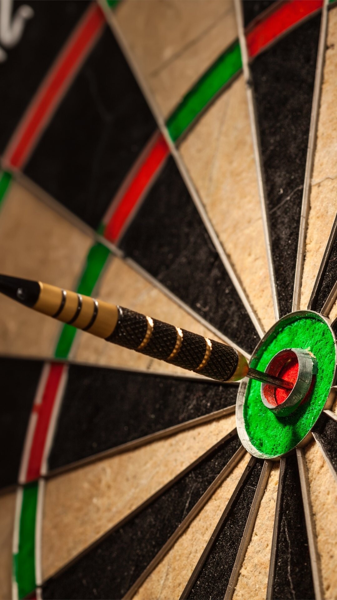 Darts game, Competition atmosphere, Aim and accuracy, Sport and leisure, 1080x1920 Full HD Phone