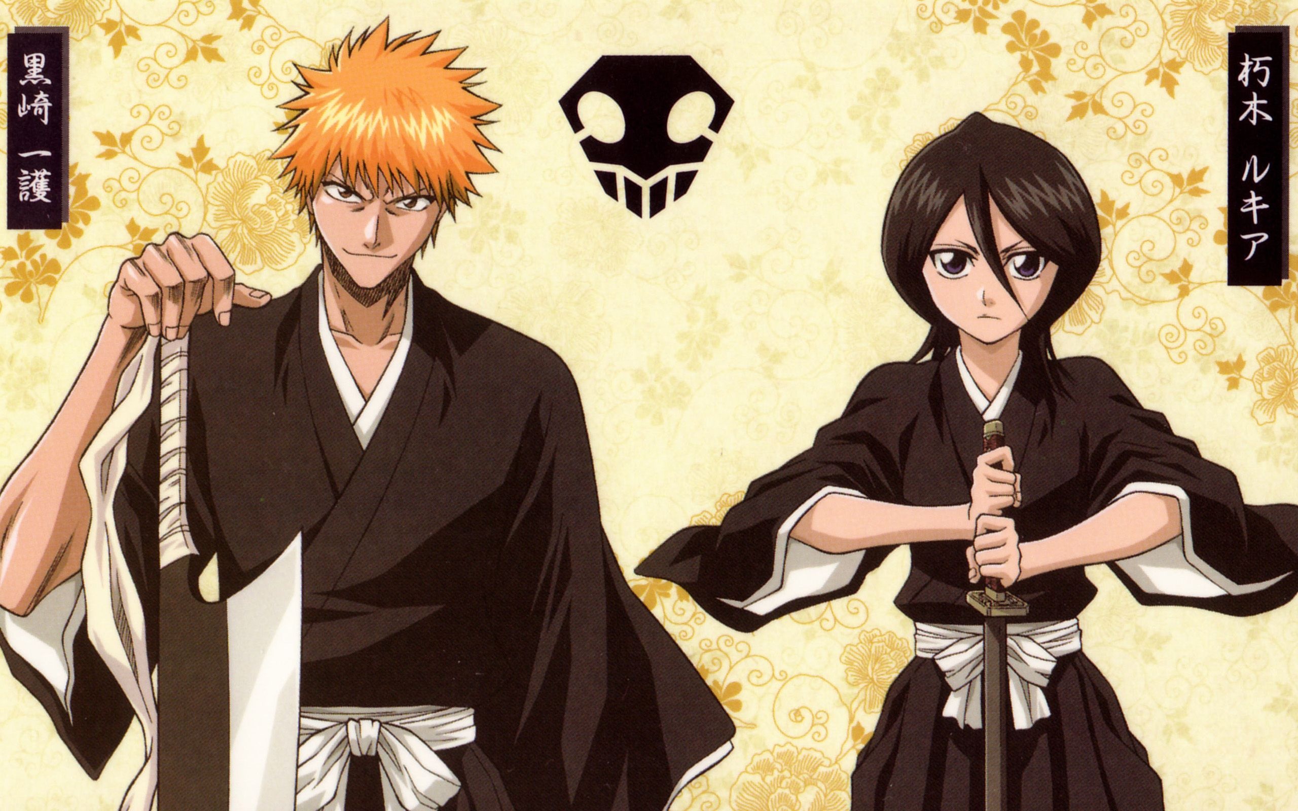 Ichigo and Rukia, Bleach artwork, Immersive wallpaper, Deep bond, 2560x1600 HD Desktop