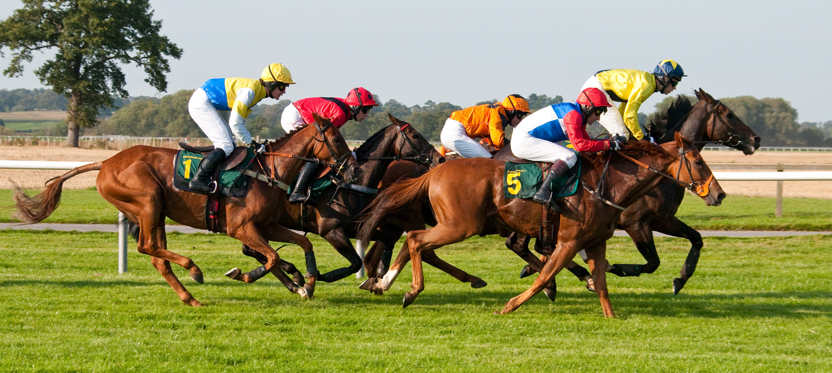 Horse racing excitement, Thrilling horse race, Equestrian adrenaline, High-speed sport, 2830x1270 Dual Screen Desktop