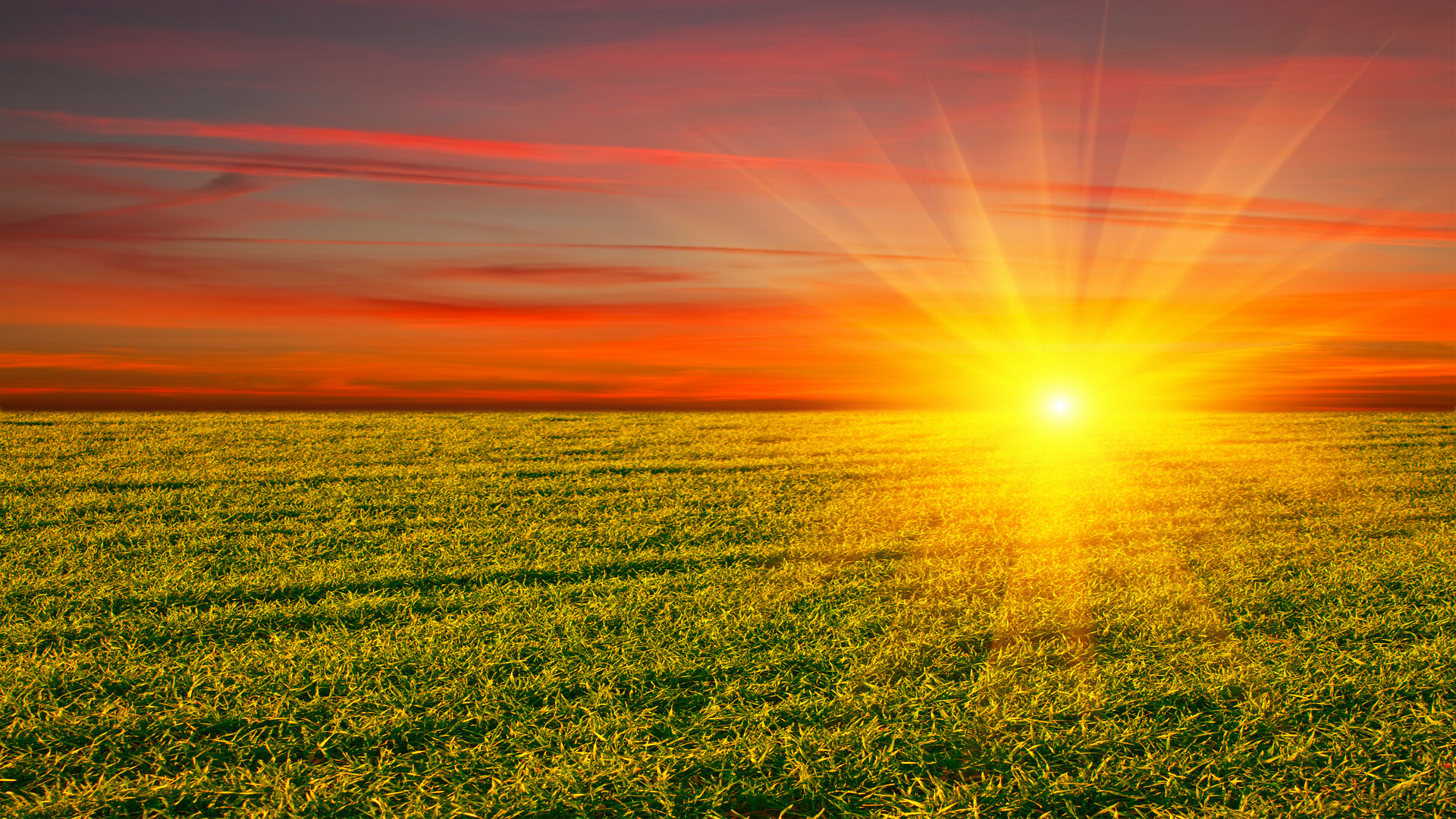 Intense sunburst, Majestic sunrise, Clear horizon, Radiant glow, 1920x1080 Full HD Desktop