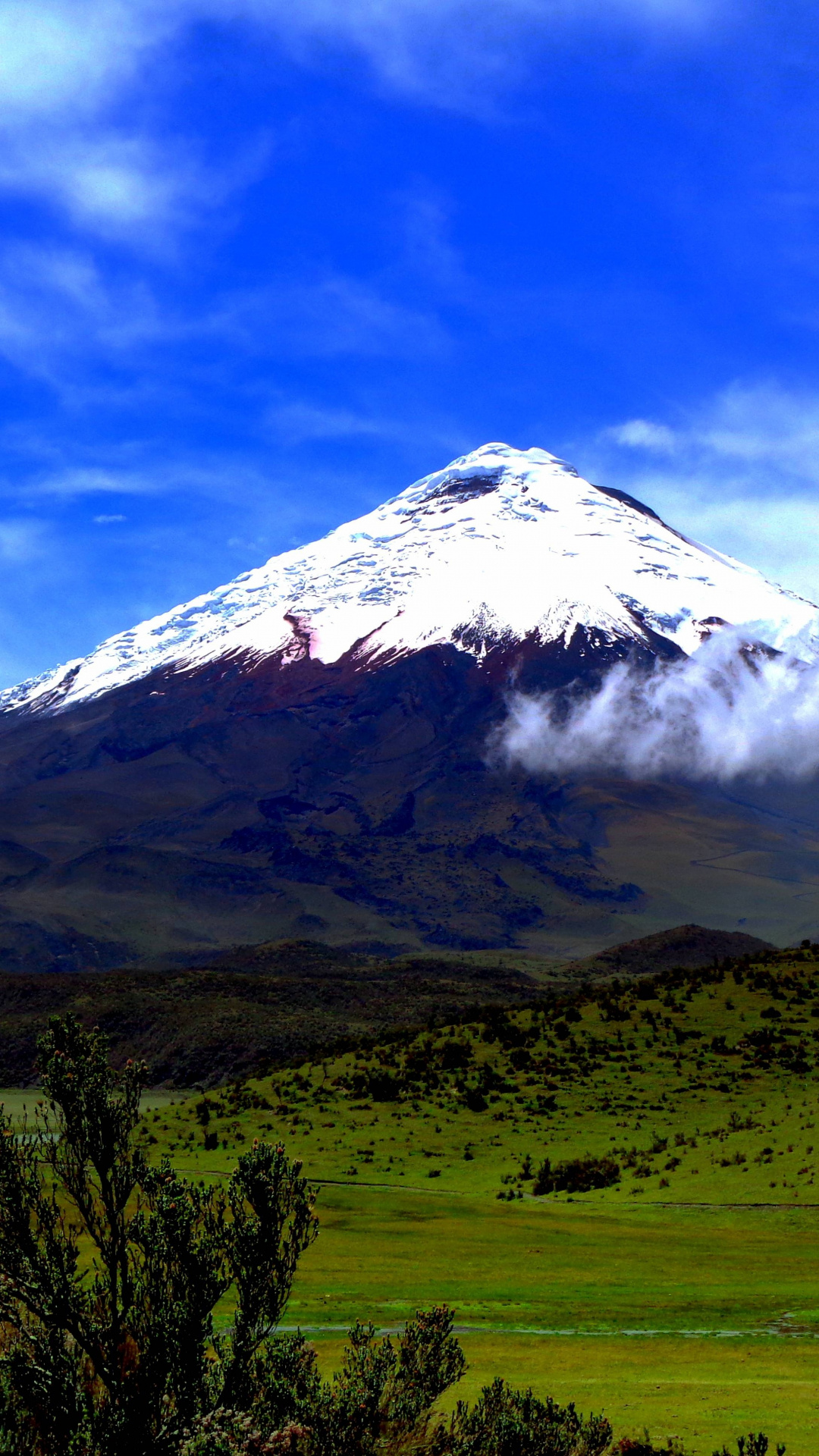 Ecuador HD wallpapers, Background images, Desktop mobile tablet, Wallpaper Ecuador, 1080x1920 Full HD Phone