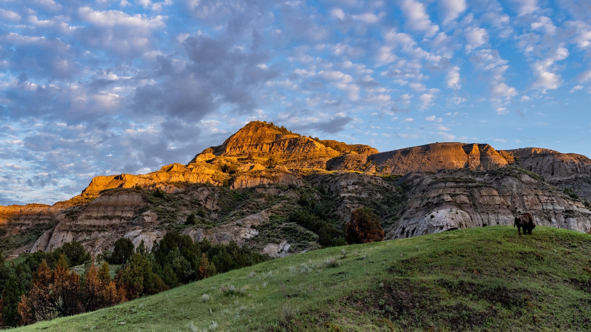 Theodore Roosevelt National Park, North unit, USA, 1920x1080 Full HD Desktop