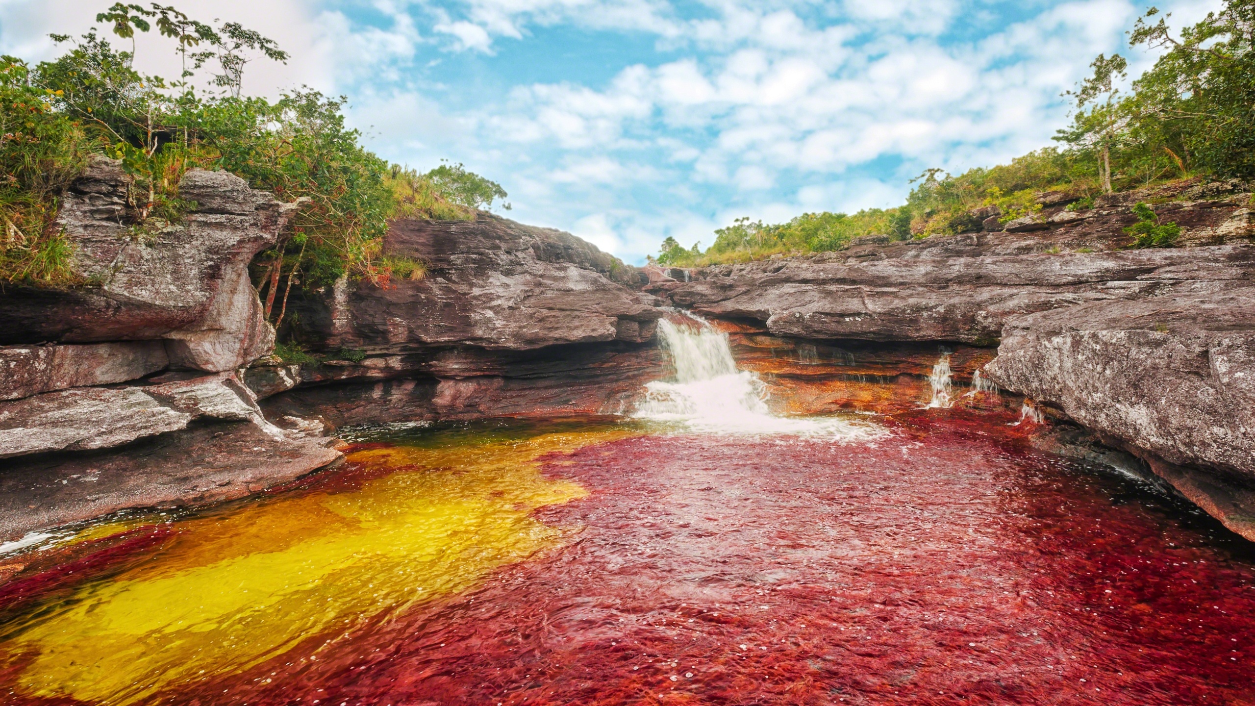 Serrania de la Macarena, Cao Cristales, HD wallpaper, Background, 2560x1440 HD Desktop