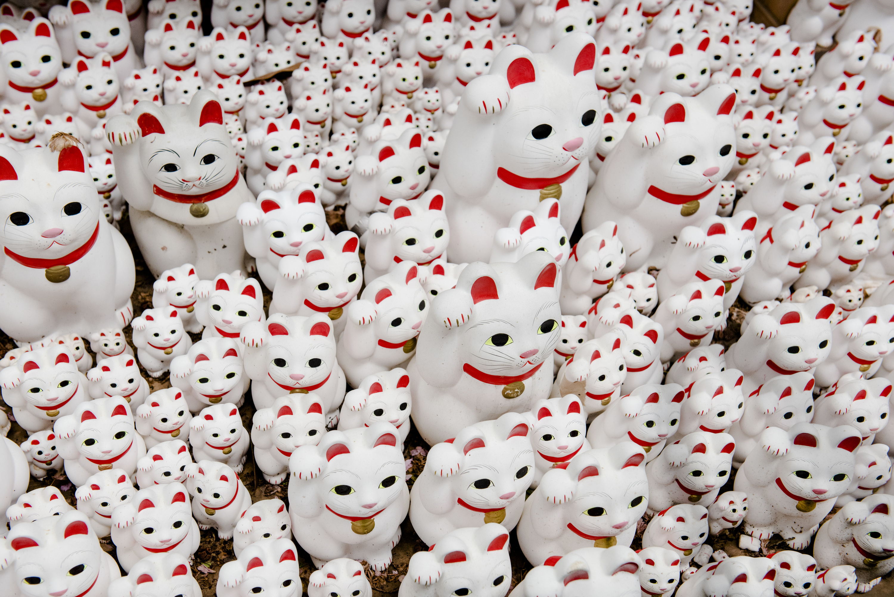 Gotokuji temple, Japanese Lucky Cat Wallpaper, 3000x2010 HD Desktop