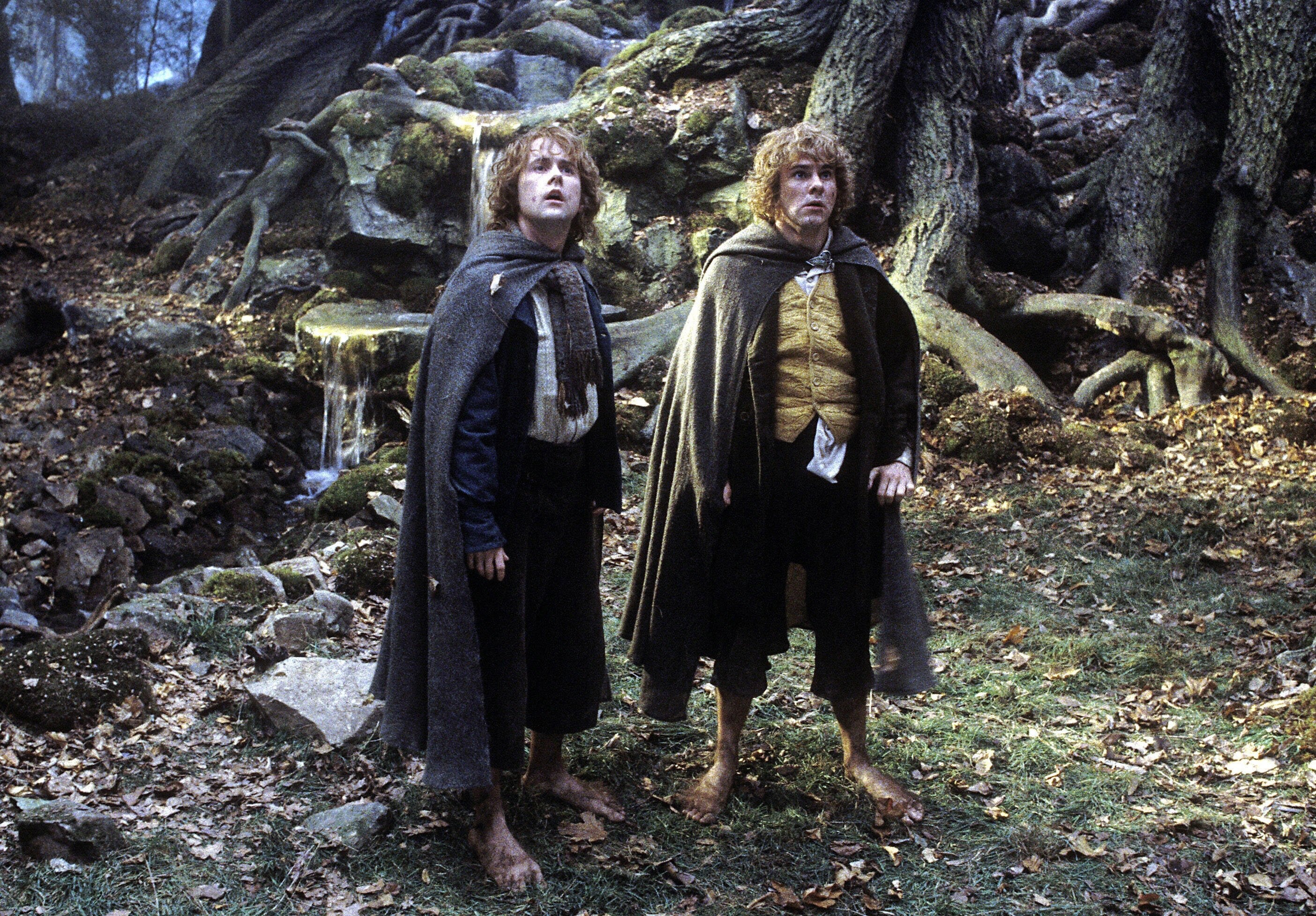 Merry and Pippin, Fangorn Wallpaper, 2810x1960 HD Desktop