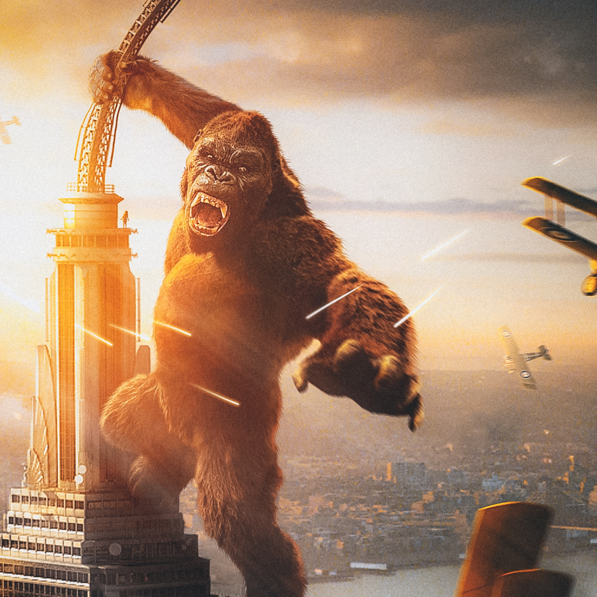 King Kong, Plane ipad air, HD 4K wallpapers, 2050x2050 HD Phone