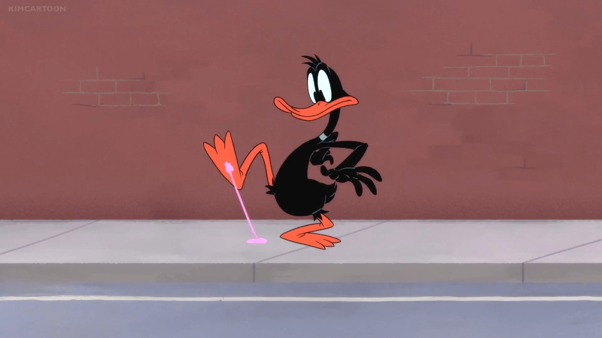 Daffy Duck, Wallpaper, Sarah Anderson's post, 1920x1080 Full HD Desktop