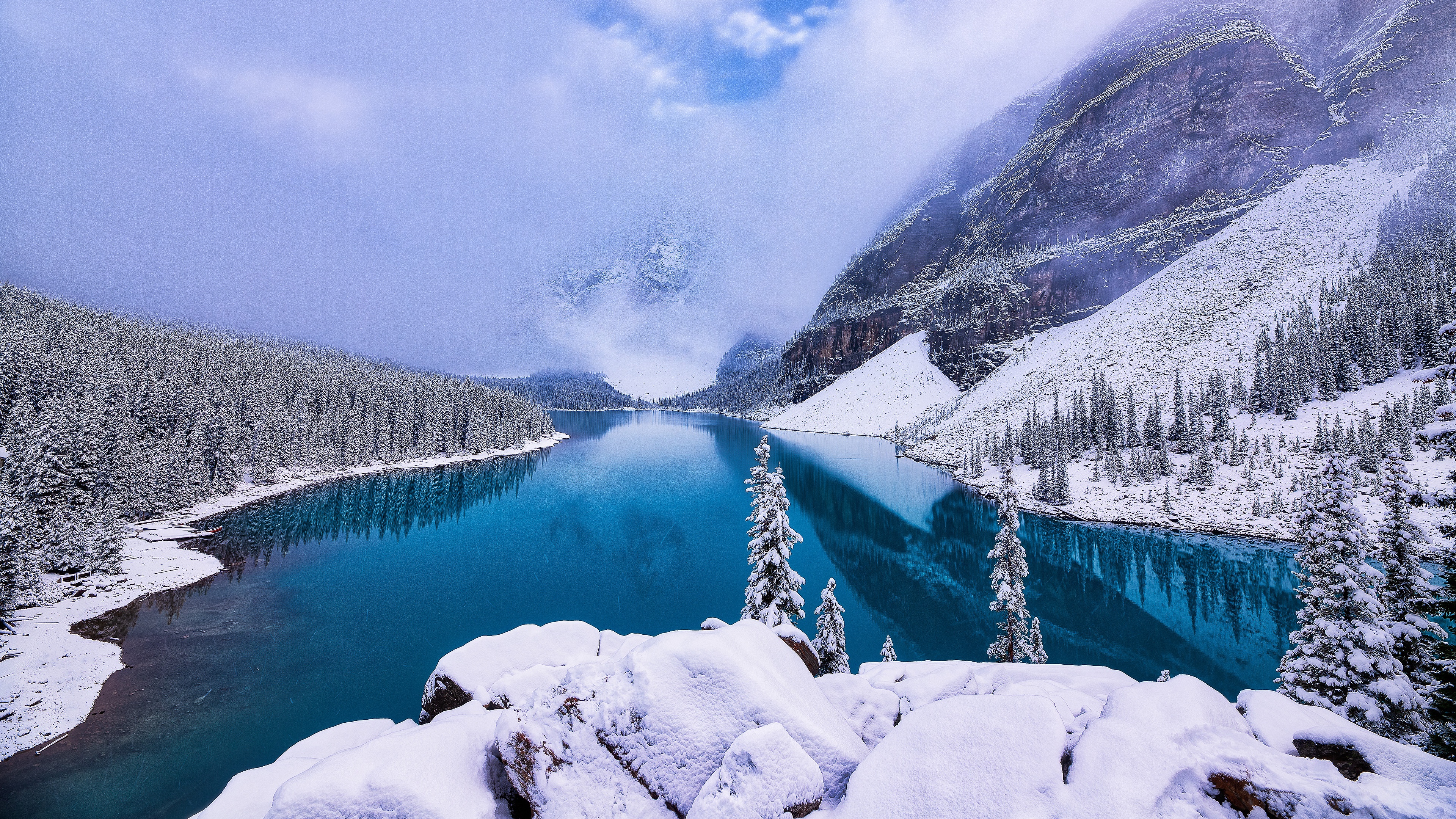 Winter spruce landscape, 4K Ultra HD, 3840x2160 4K Desktop