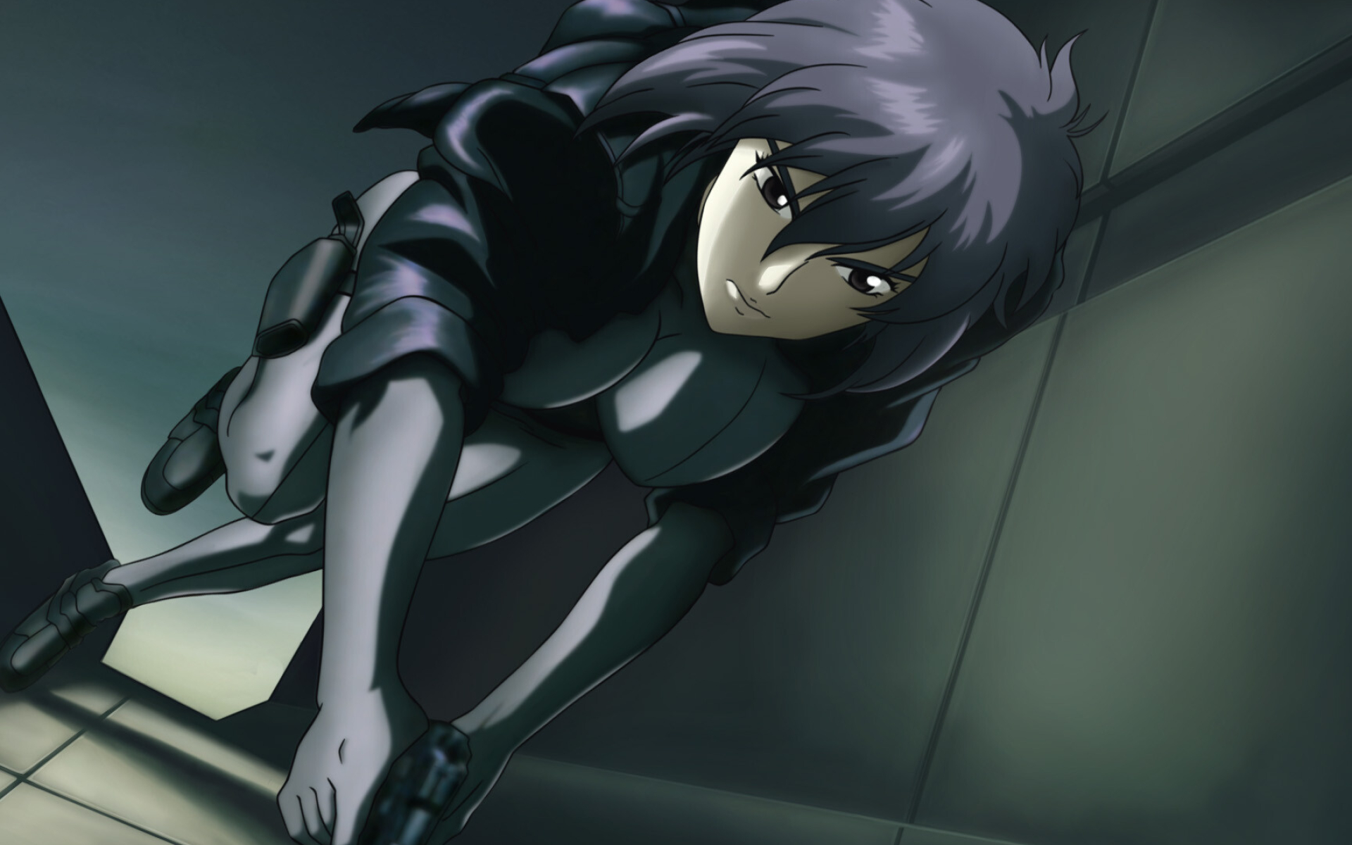 Ghost in the Shell, Anime Photos, Cybernetic Enhancements, Futuristic Art, 1920x1200 HD Desktop