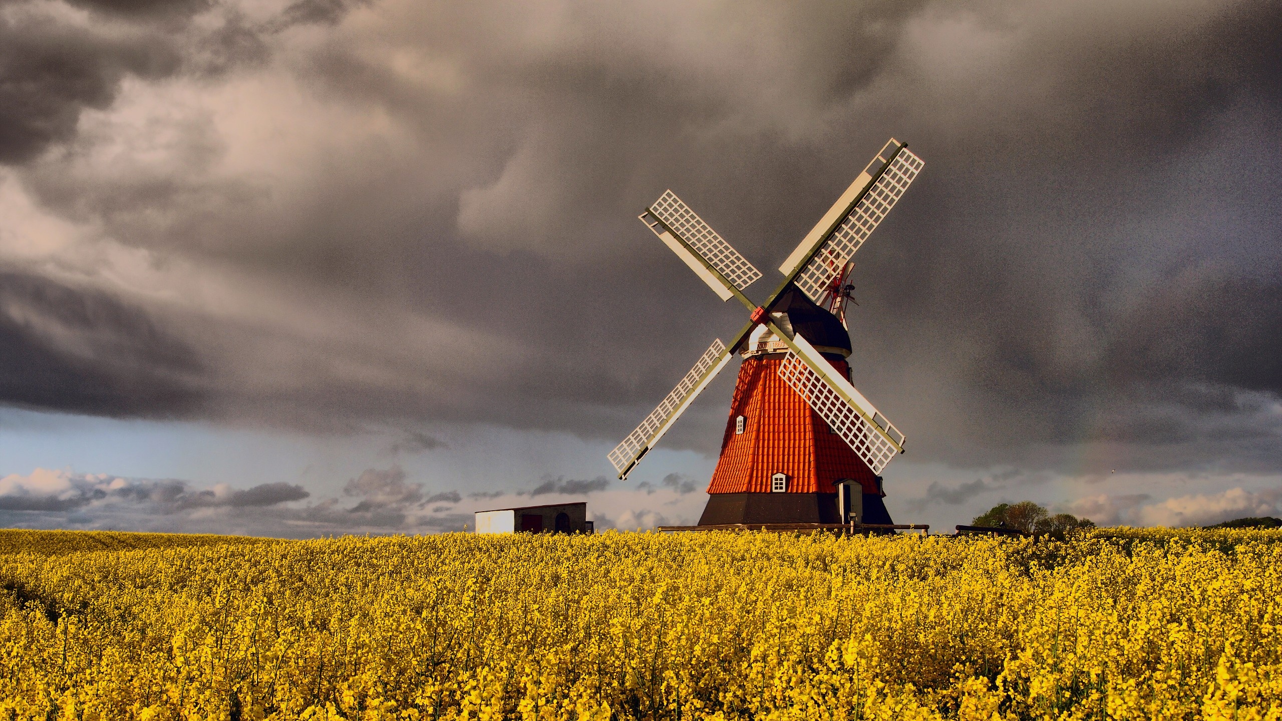 Windmill, Denmark Wallpaper, 2560x1440 HD Desktop