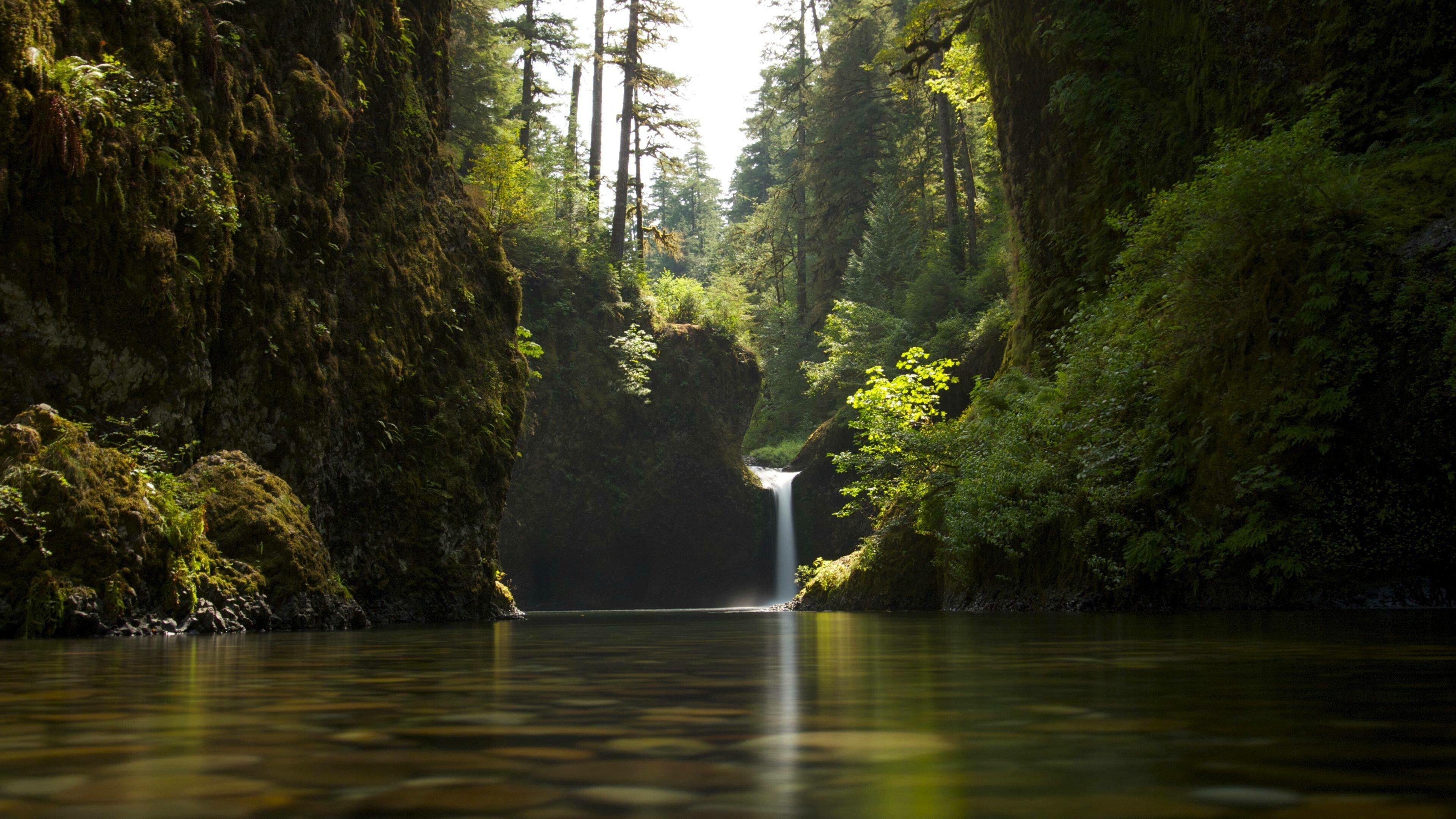 Enchanting forests, Nature's sanctuary, Desktop background, Adventurous exploration, 3840x2160 4K Desktop