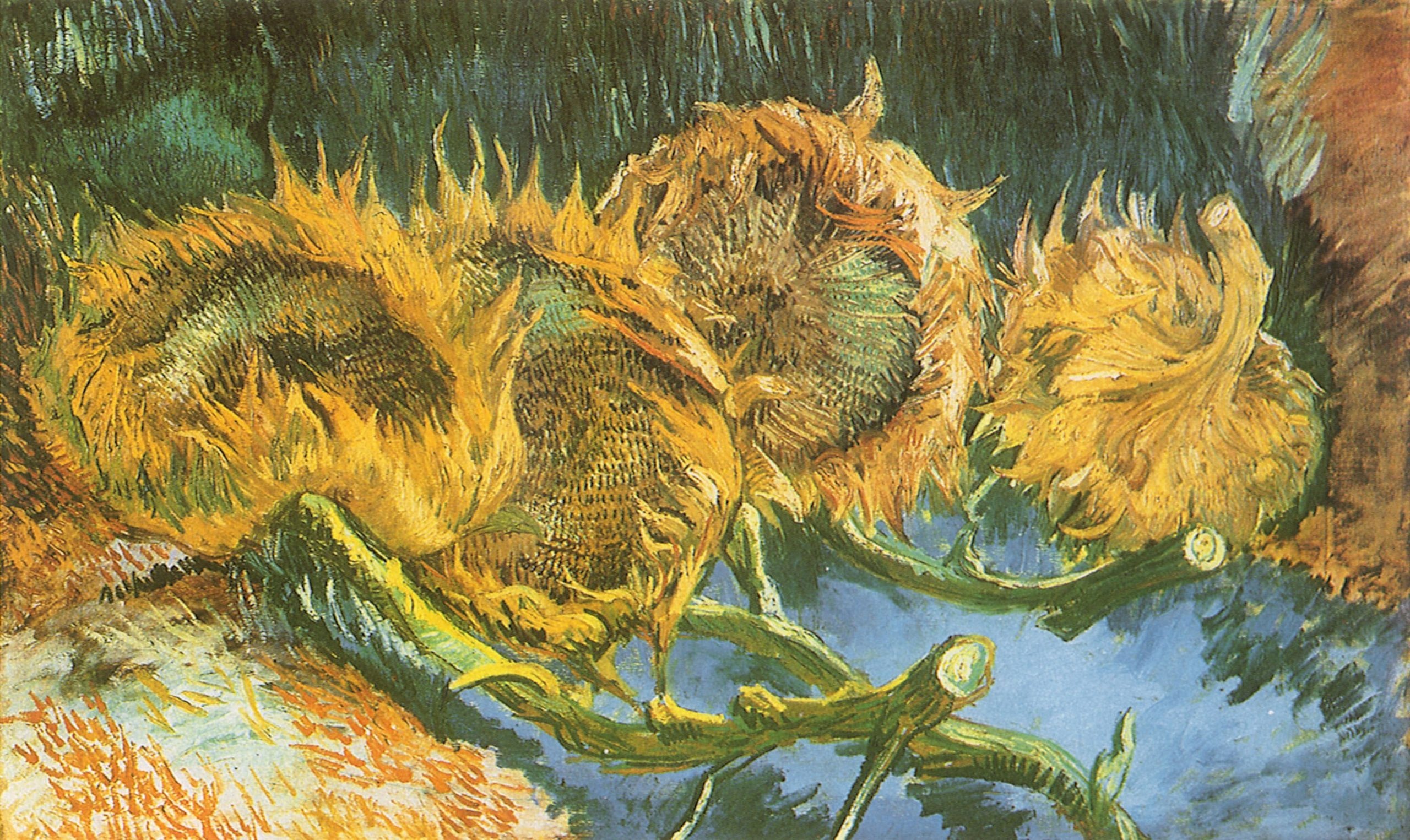 Four cut sunflowers, Vincent van Gogh Wallpaper, 2560x1530 HD Desktop