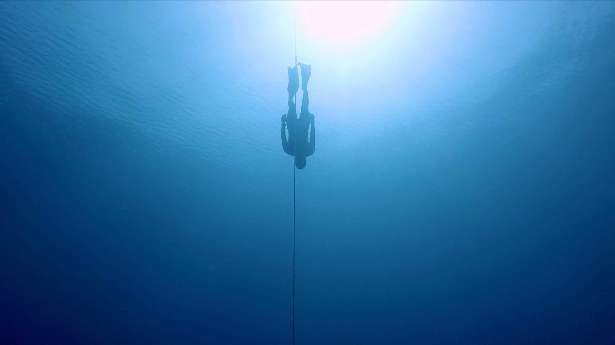 Freediving, Sports,Advanced Freediver,Bali Diving Academy, 2560x1440 HD Desktop