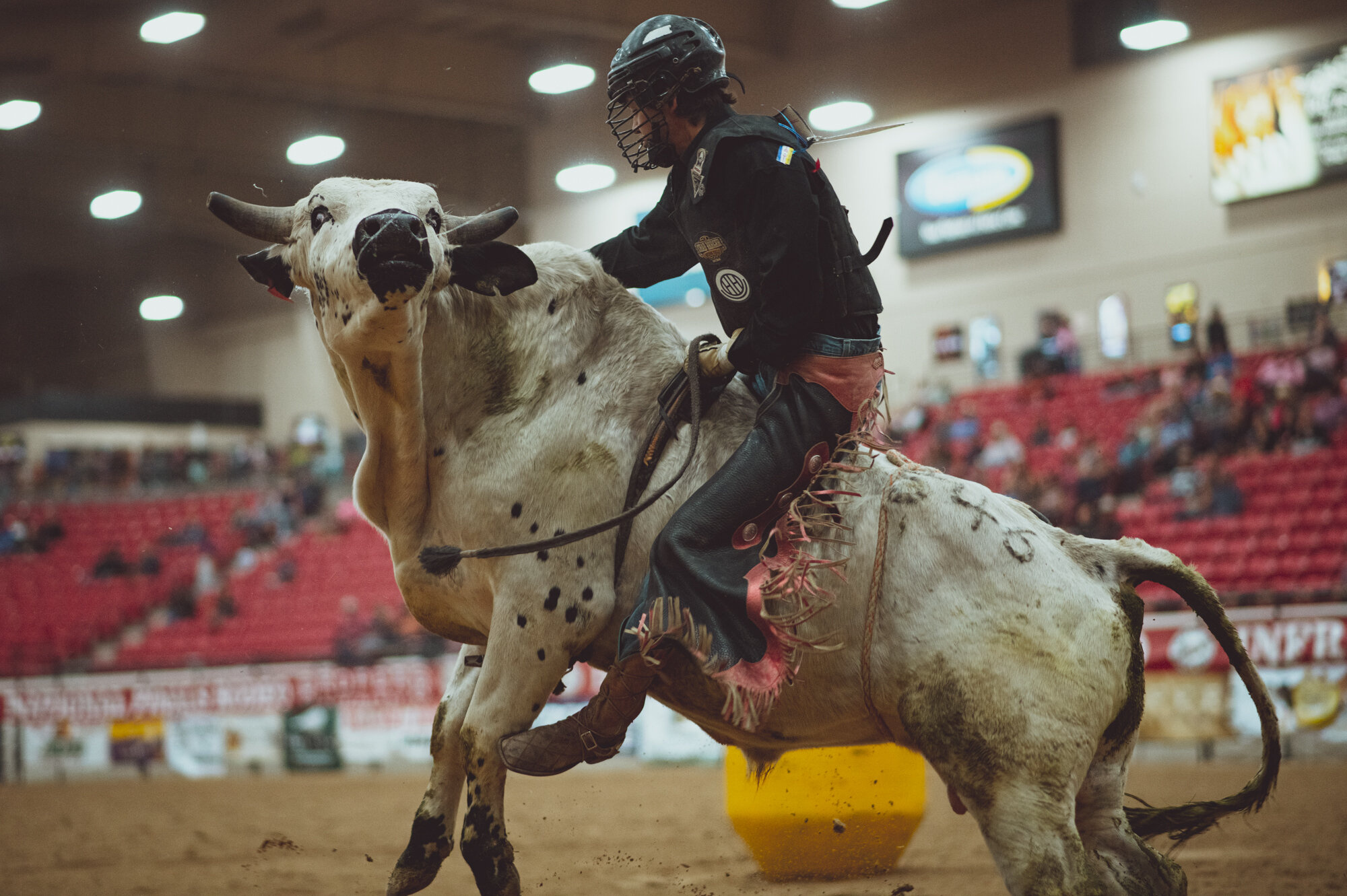 American rodeo atmosphere, Captivating photography, Fascinating people, Memorable moments, 2000x1340 HD Desktop