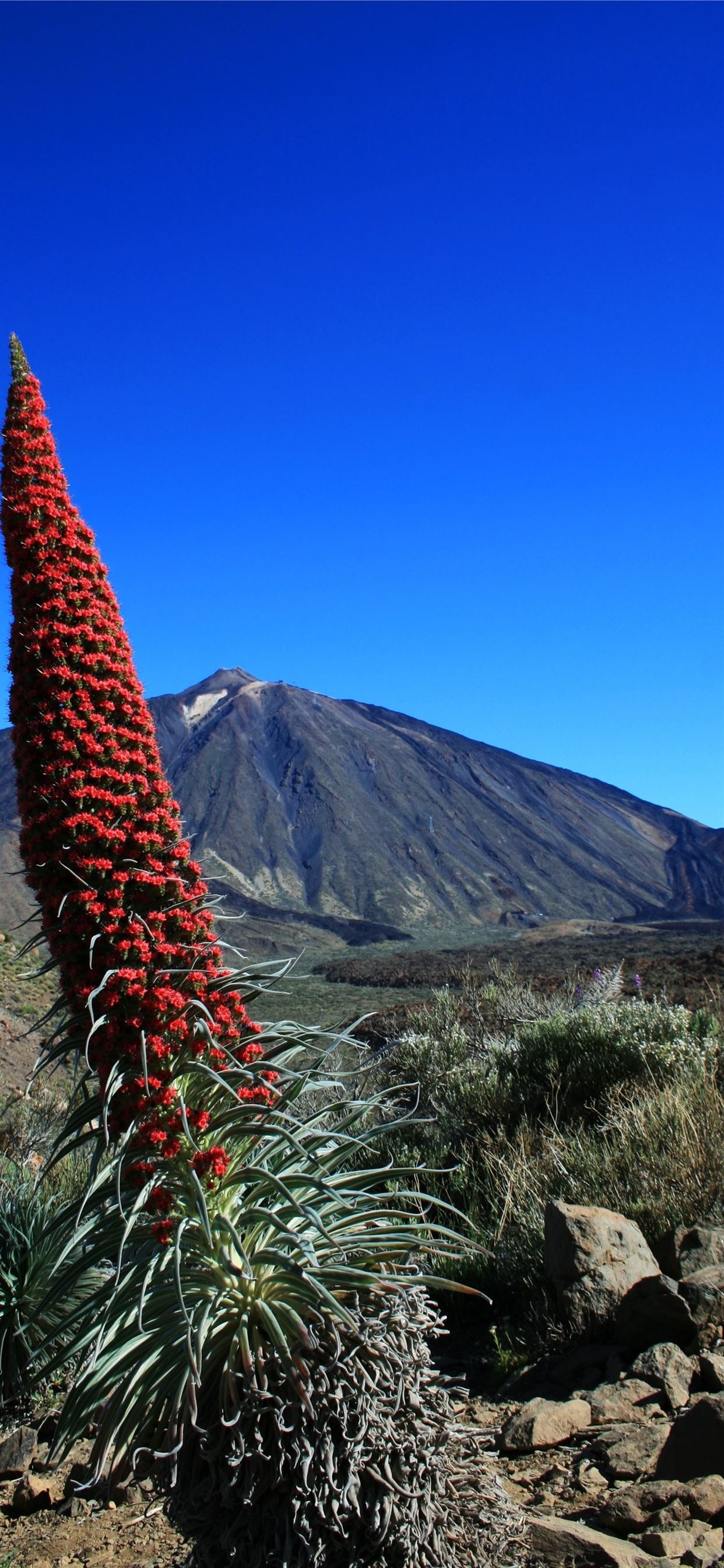 Teide National Park, Hawaii volcanoes national park, iPhone wallpapers, Scenic beauty, 1250x2690 HD Phone