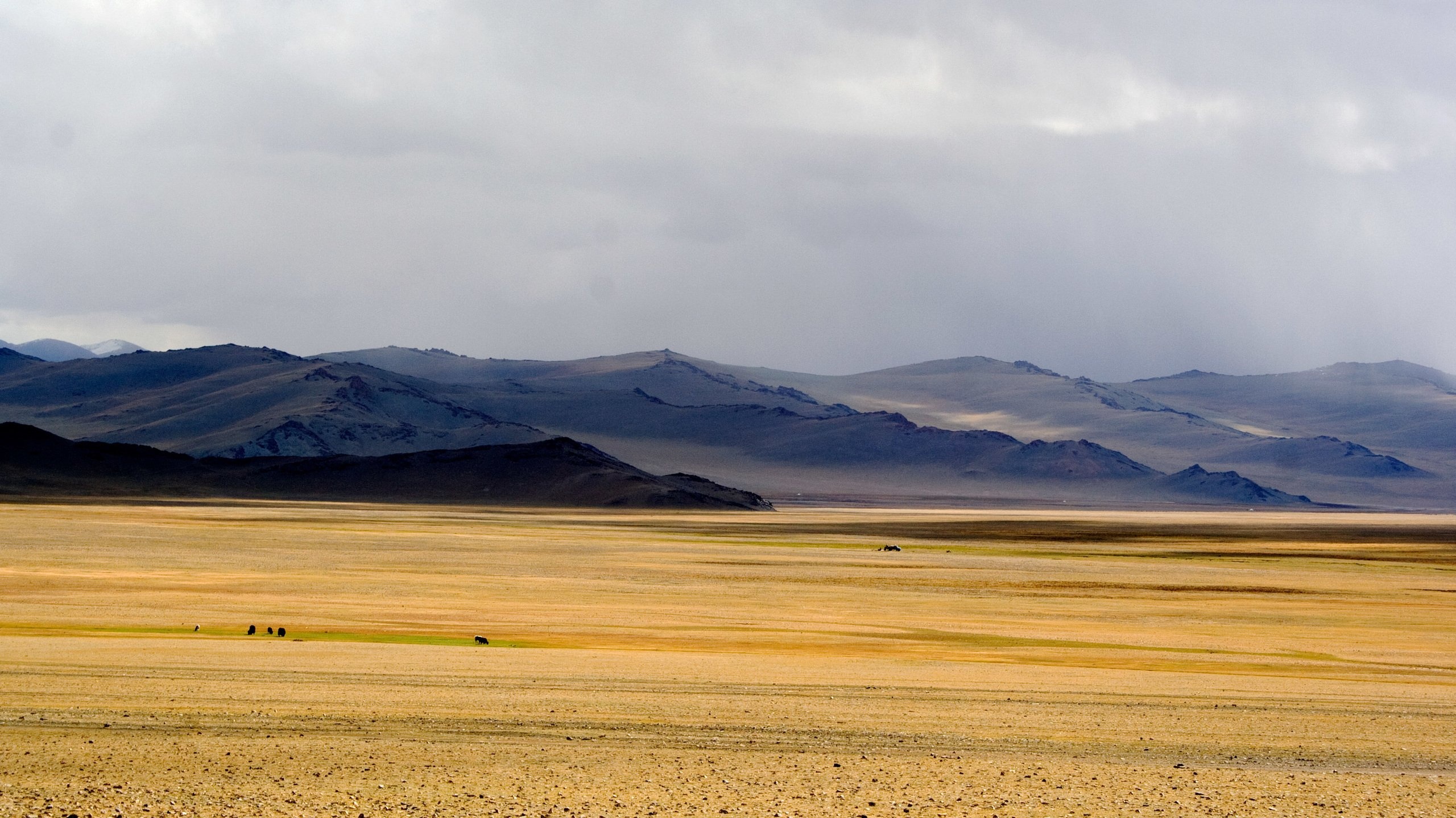 Mongolian valley HD, Wallpaper scenery, Majestic landscapes, Tranquility in nature, 2560x1440 HD Desktop