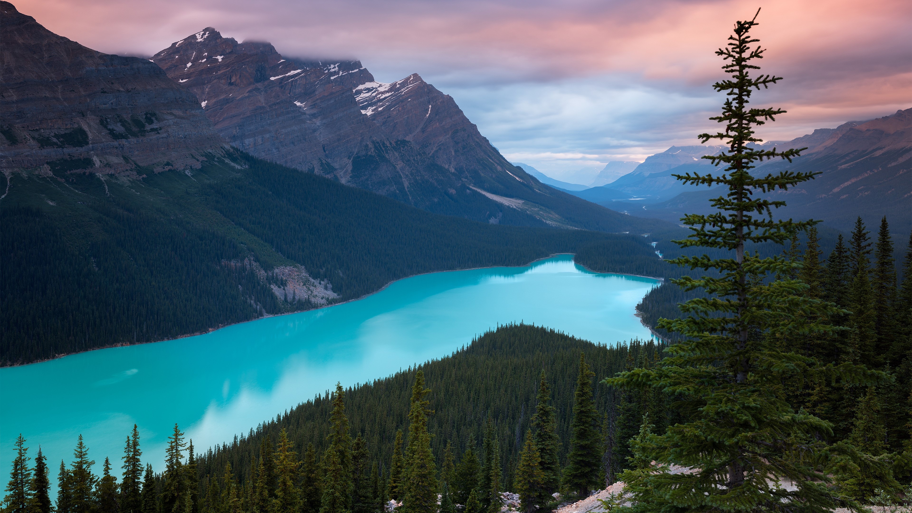 Peyto Lake, Canadian Rockies, Forested Mountains, Crystal Clear Waters, Stunning Landscape, 3840x2160 4K Desktop