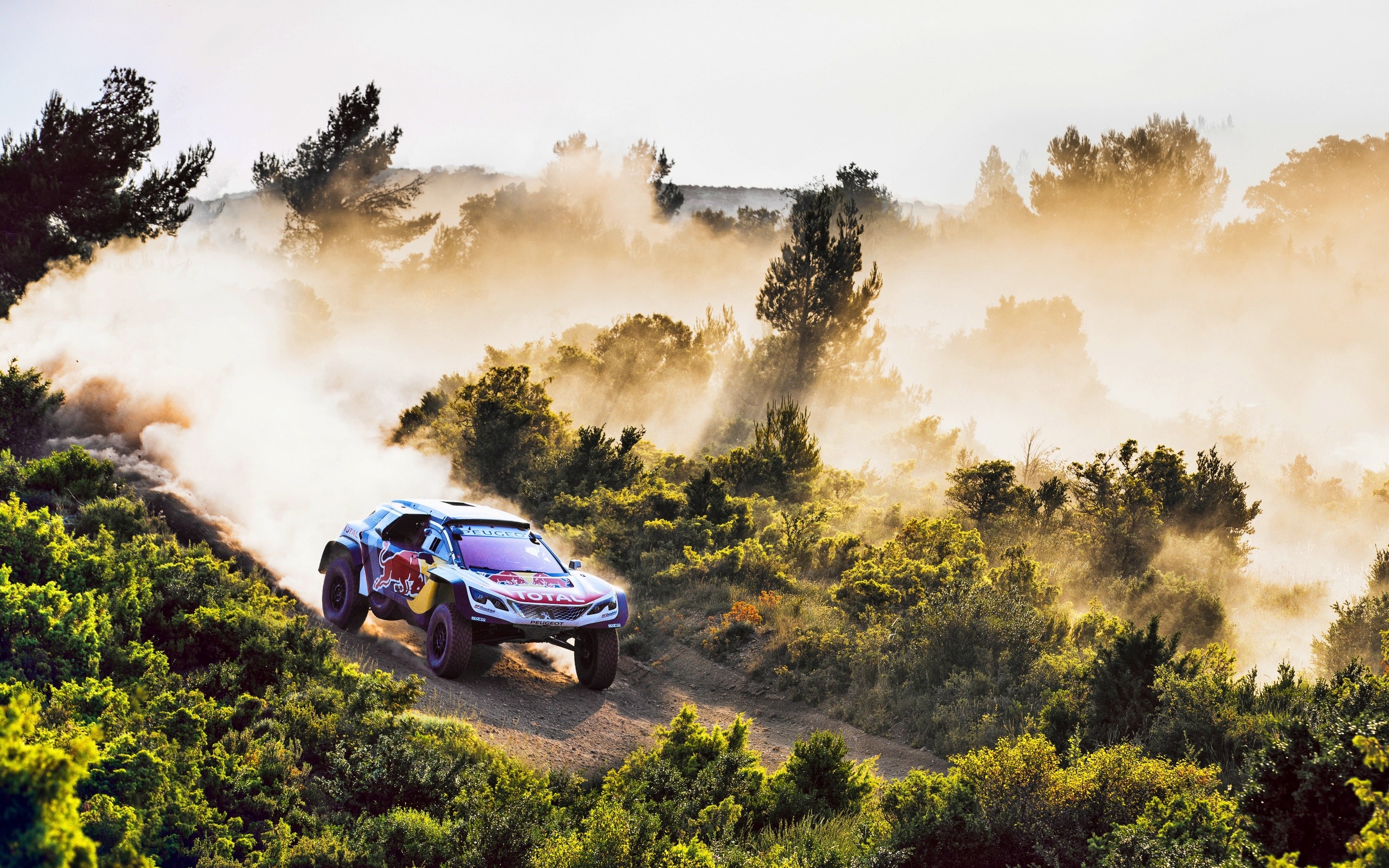 Peugeot 3008DKR, Dakar Rally Wallpaper, 2560x1600 HD Desktop