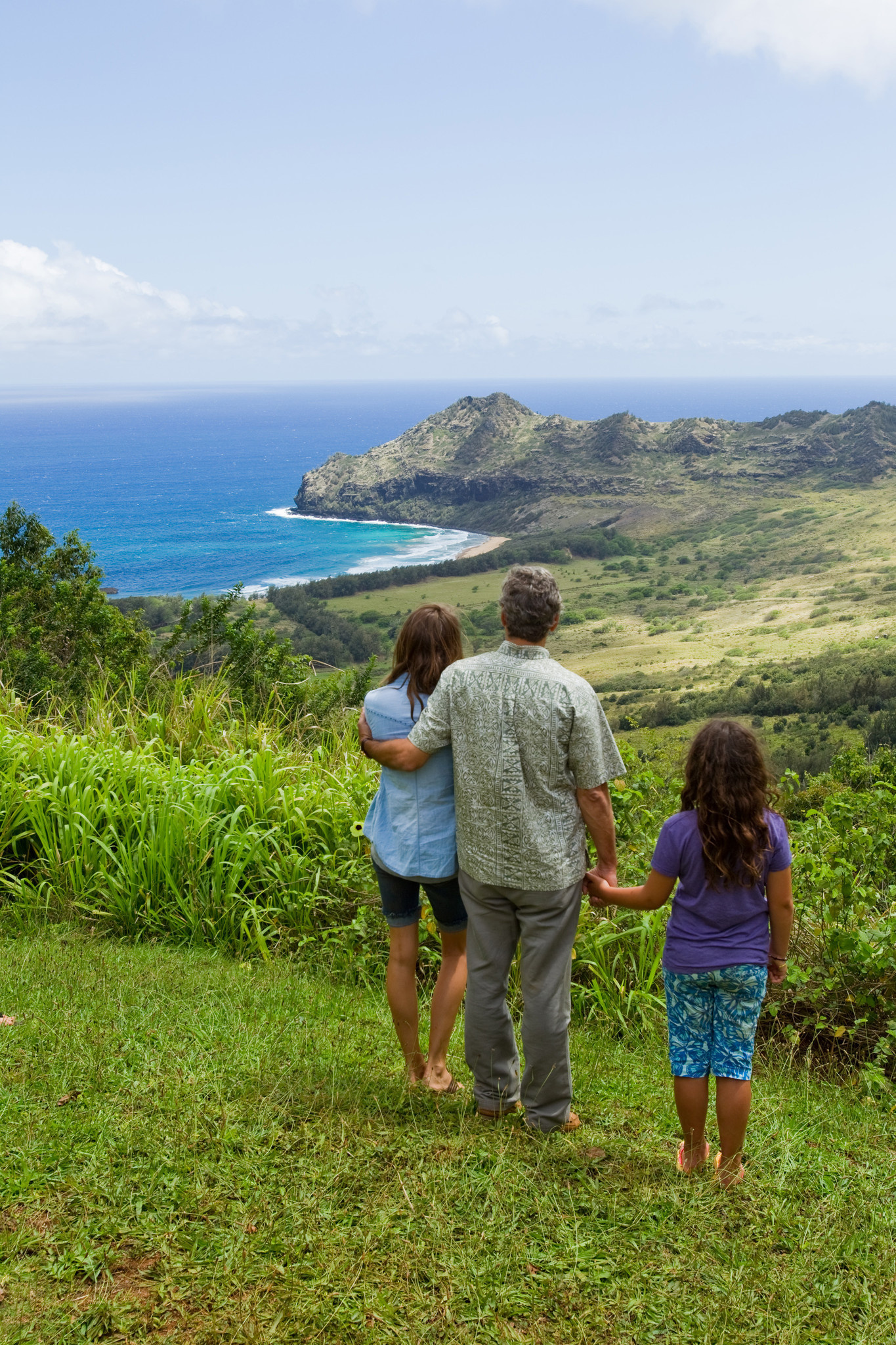 The Descendants, Movies, Kauai, Tour, 1370x2050 HD Phone