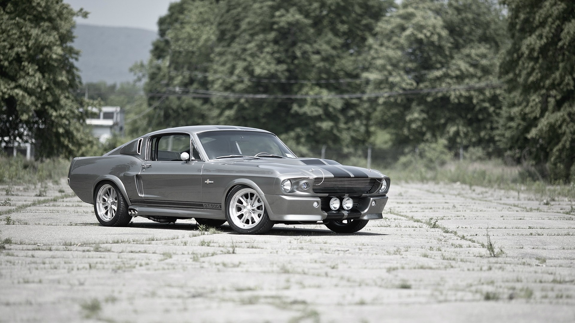 Shelby GT500 HD, Thunderous roar, Performance stripes, American muscle power, Legacy car love, 1920x1080 Full HD Desktop