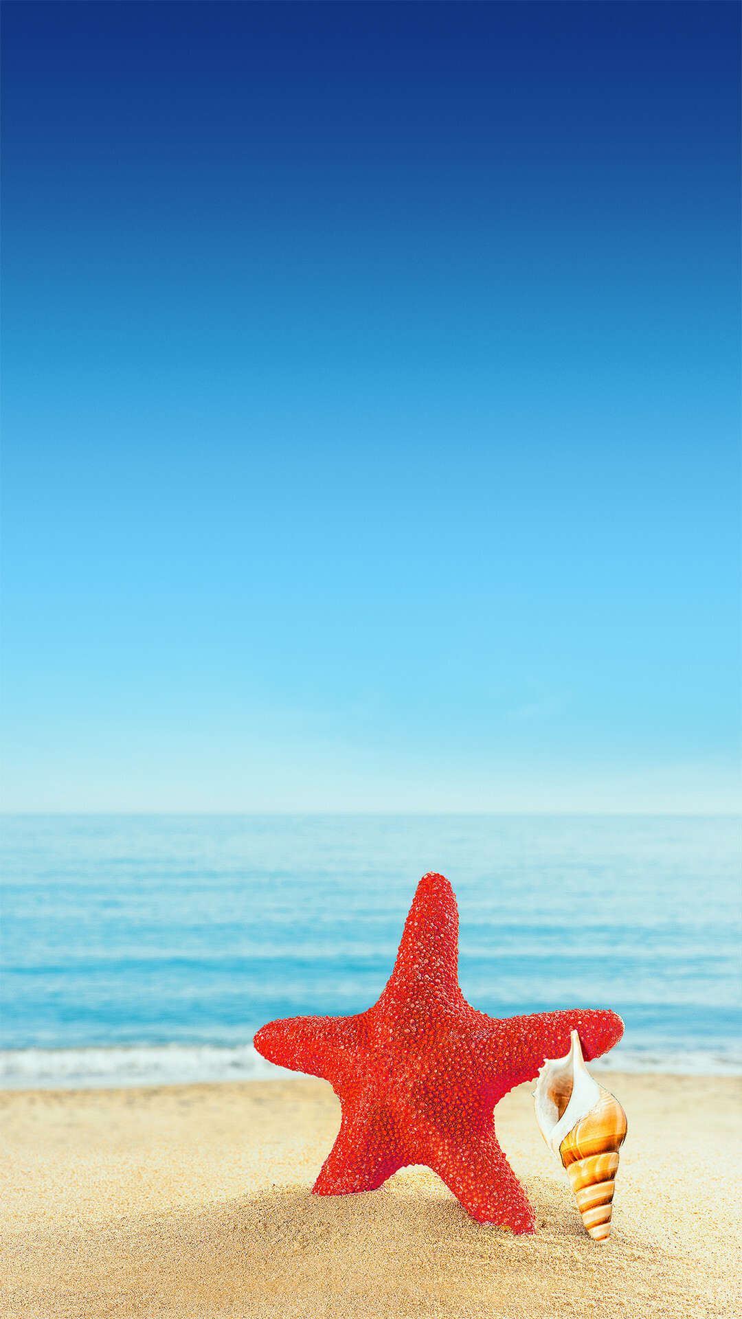 Starfish, Starfish wallpaper, Marine life, Digital artwork, 1080x1920 Full HD Phone