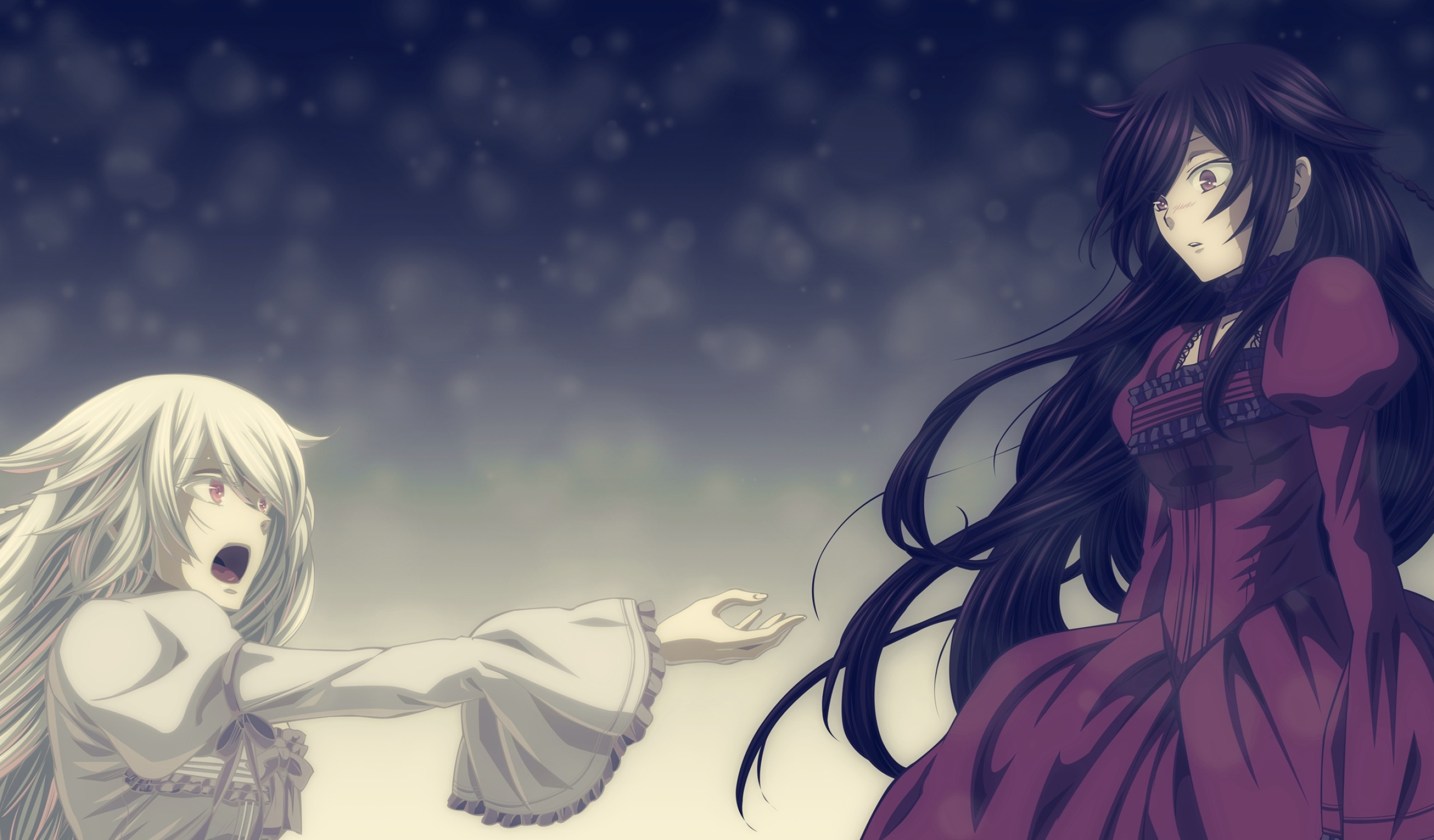 PandoraHearts, Beautiful wallpapers, B-Rabbit, Emotional resonance, 2560x1500 HD Desktop