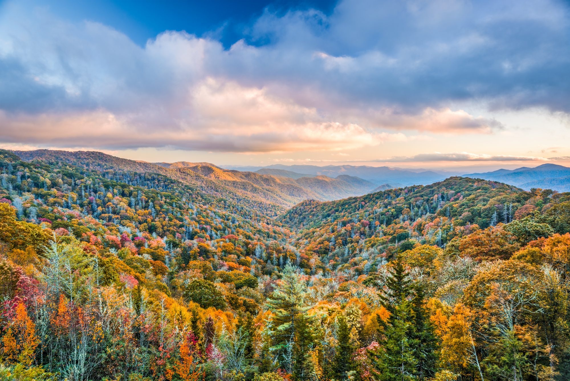 Volunteers needed, Clean up, National park, 2000x1340 HD Desktop