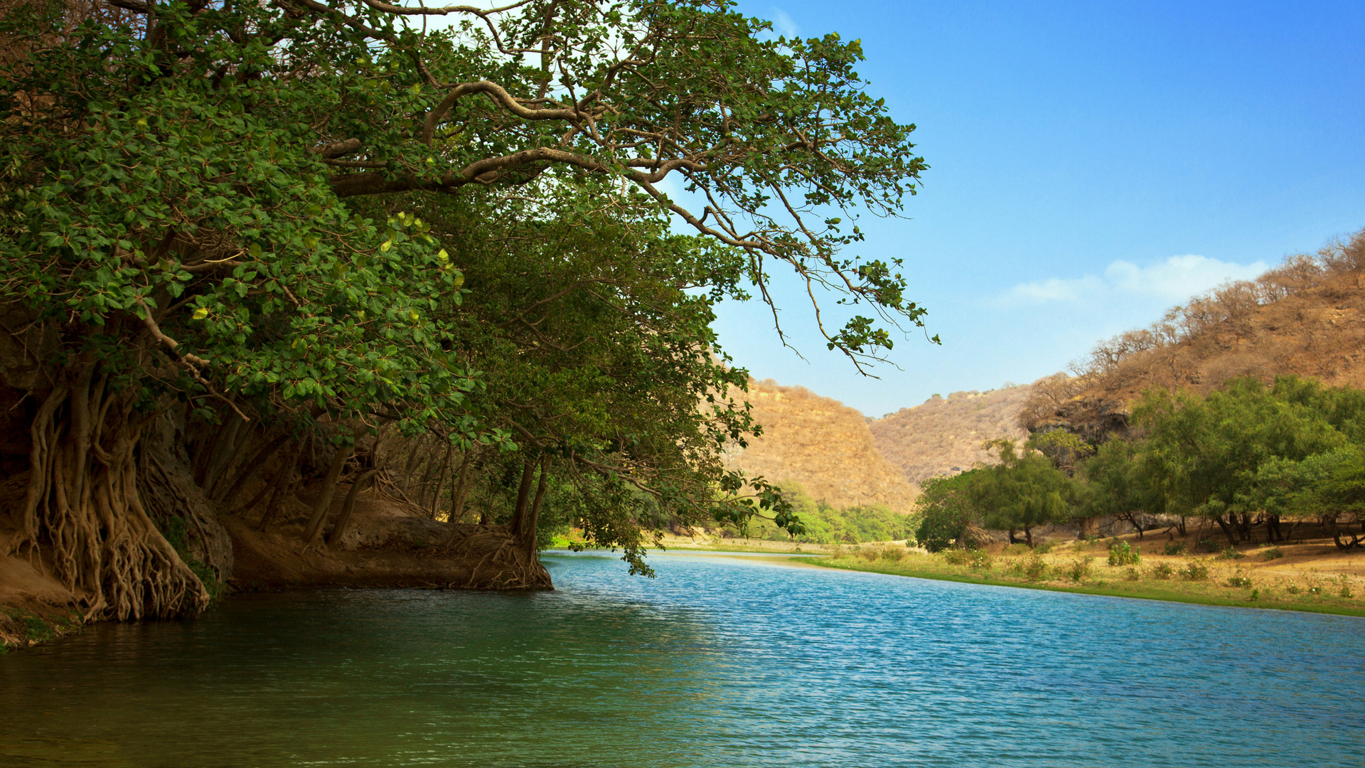 Oman travels, Salalah beauty, Fanpop photo, 1920x1080 Full HD Desktop