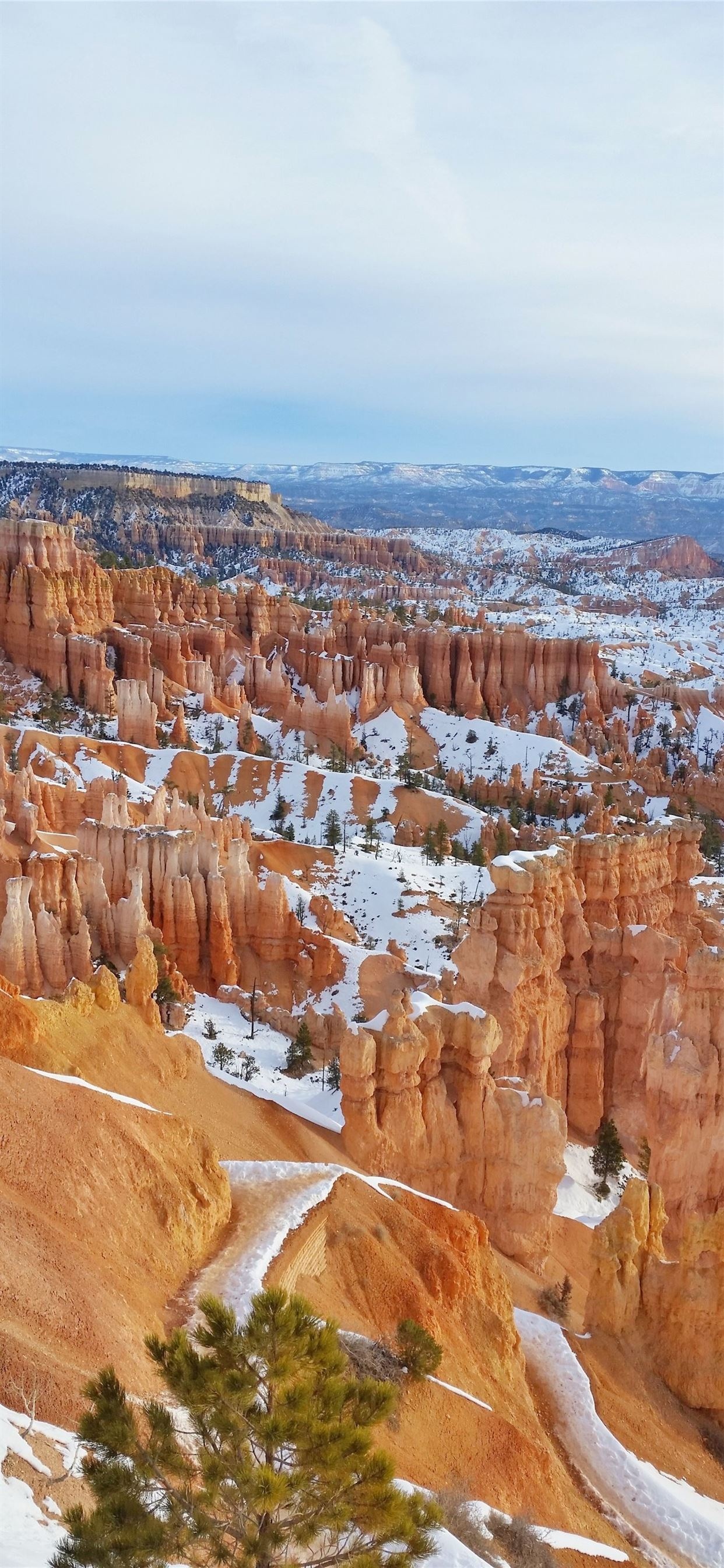 Bryce Canyon National Park, Stunning iPhone wallpapers, Nature beauty, National parks, 1250x2690 HD Phone