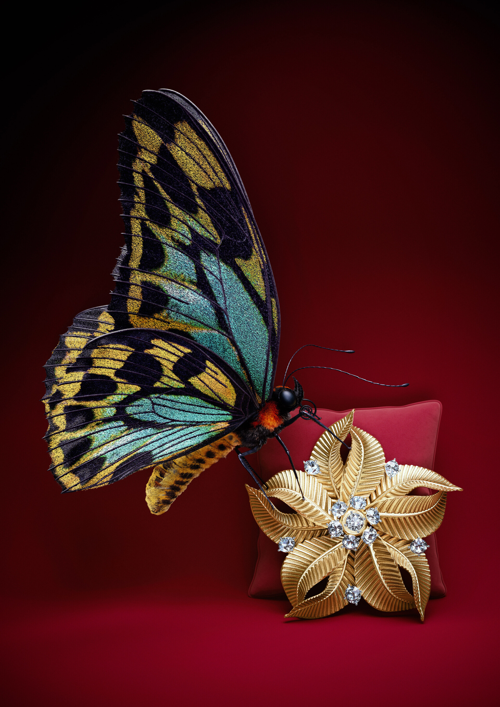 Butterfly's Touch, Brooch Wallpaper, 1920x2720 HD Phone