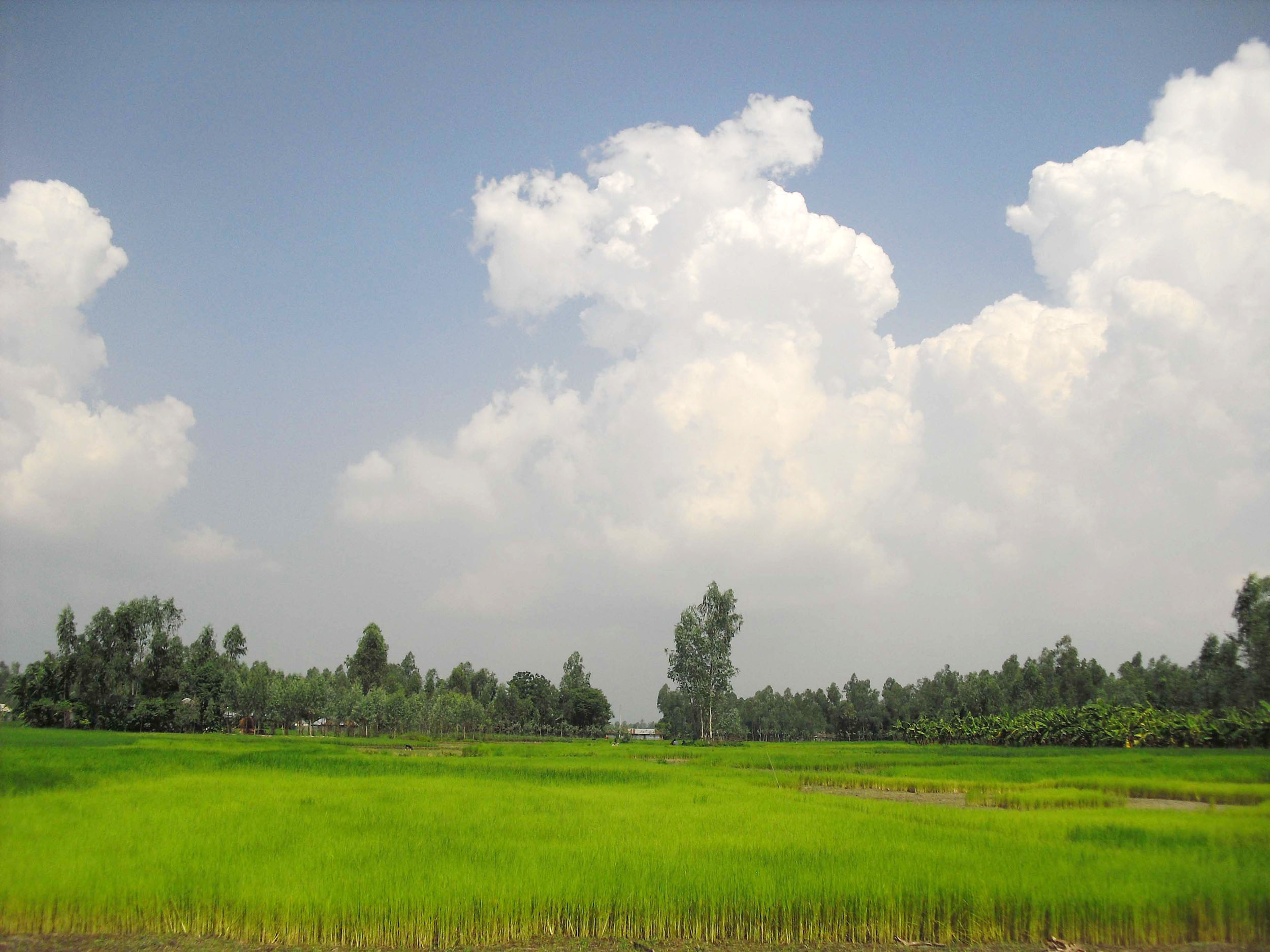 Village Shanto, Bangladesh Wallpaper, 2500x1880 HD Desktop