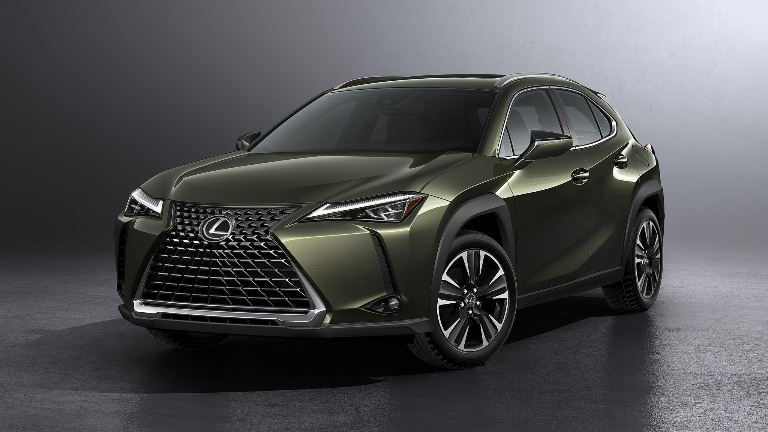 2019 Model, Lexus UX Wallpaper, 2560x1440 HD Desktop