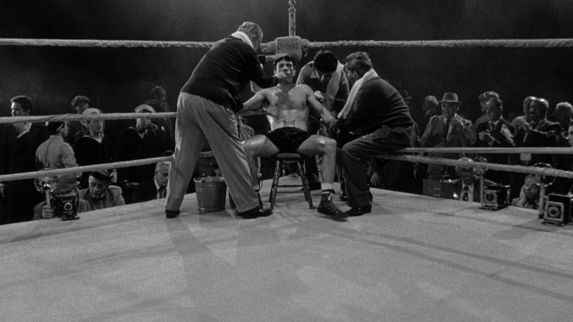 Raging Bull, Cinematic experience, Captivating wallpaper, Intense, 1920x1080 Full HD Desktop