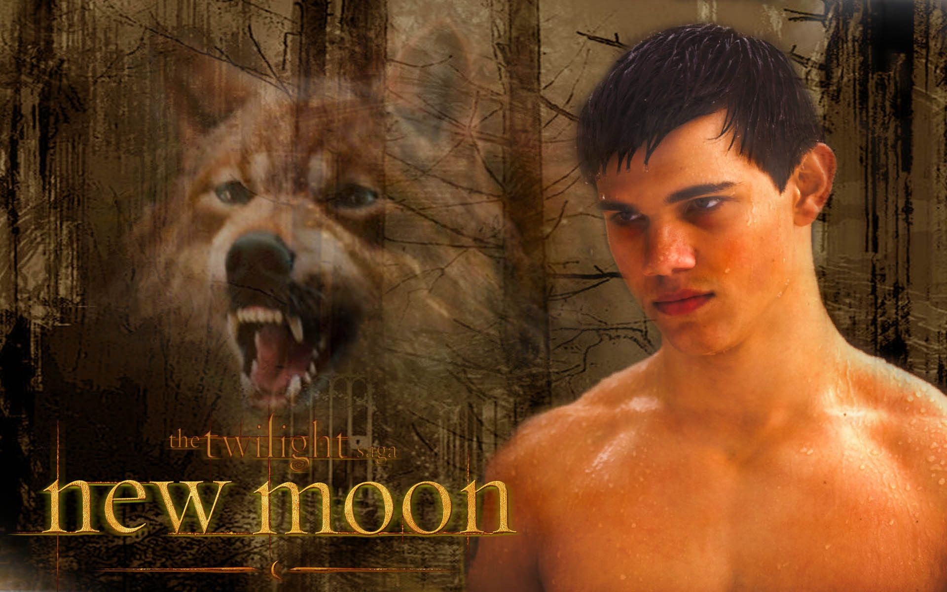 New moon wallpapers, Twilight movie magic, Adorable fan art, Intriguing wallpaper, 1920x1200 HD Desktop