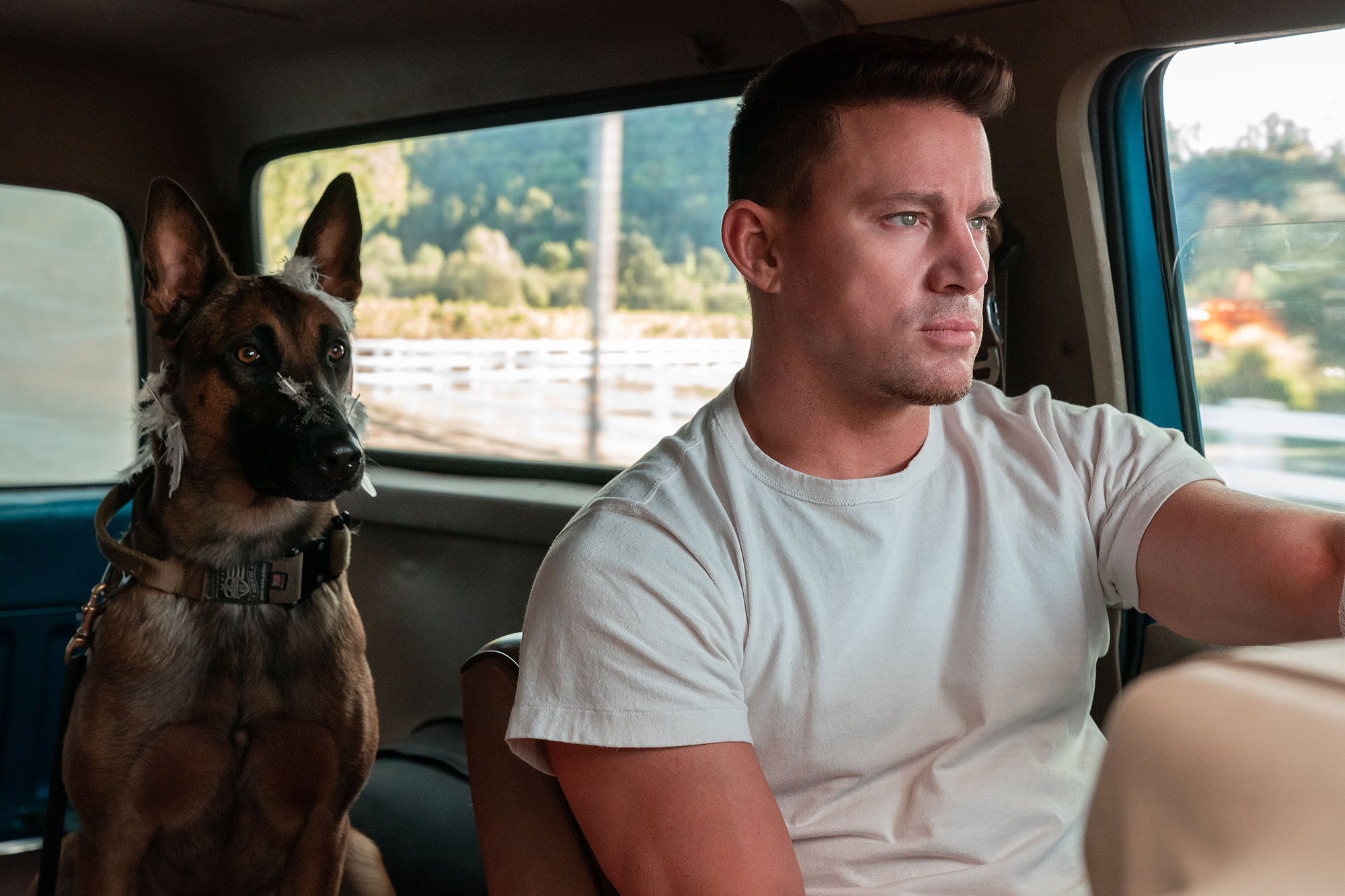 Dog movie, Channing Tatum, Spoiler interview, Impactful ending, 2000x1340 HD Desktop