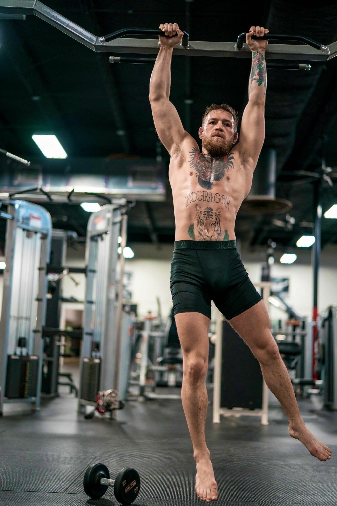 Conor McGregor, Wrestling, Notorious Conor McGregor, 1370x2050 HD Phone