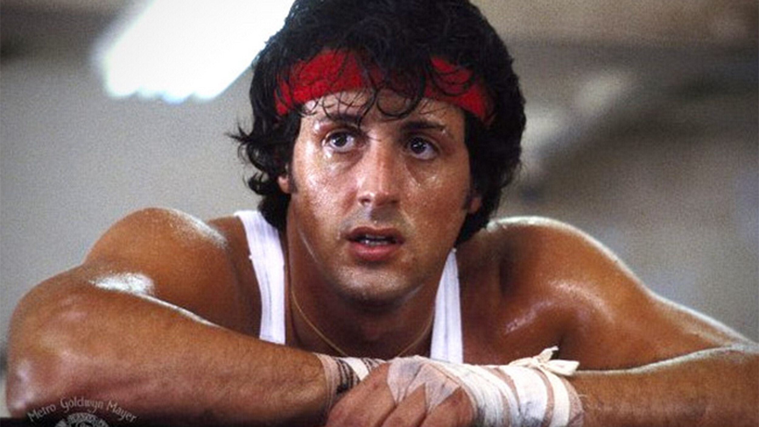 Rocky Balboa, Rocky Wallpaper, 2500x1410 HD Desktop