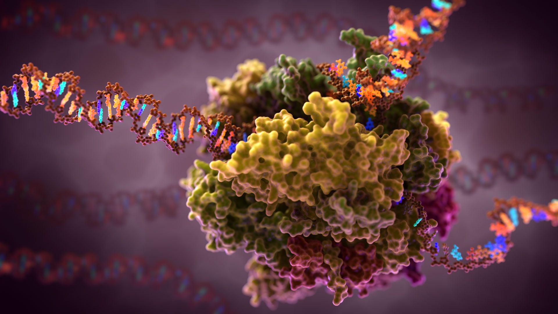 Biology wonders, DNA transcription, Plant biology, Visual wallpaper, 1920x1080 Full HD Desktop