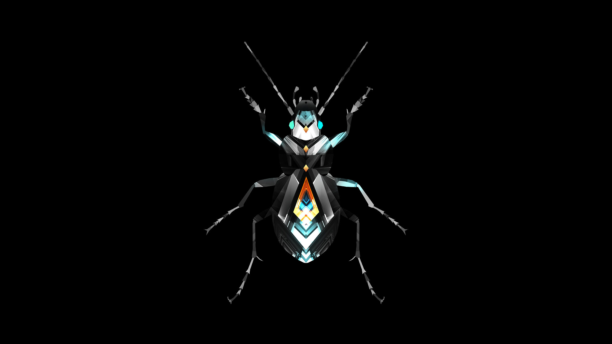 Insect, Facets Wallpaper, 2560x1440 HD Desktop