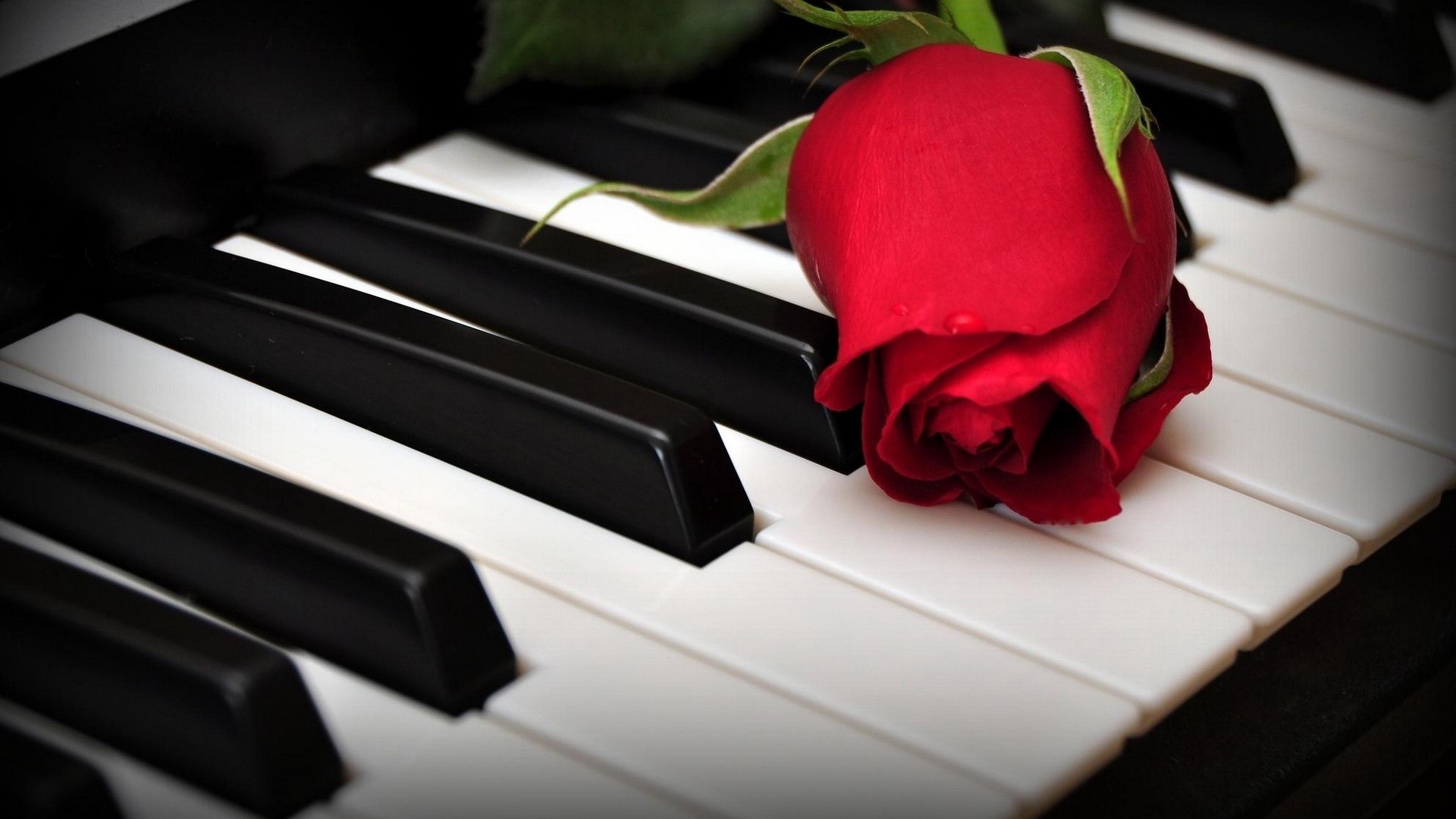 Piano, High-definition beauty, Musical marvel, Elegance, 1920x1080 Full HD Desktop