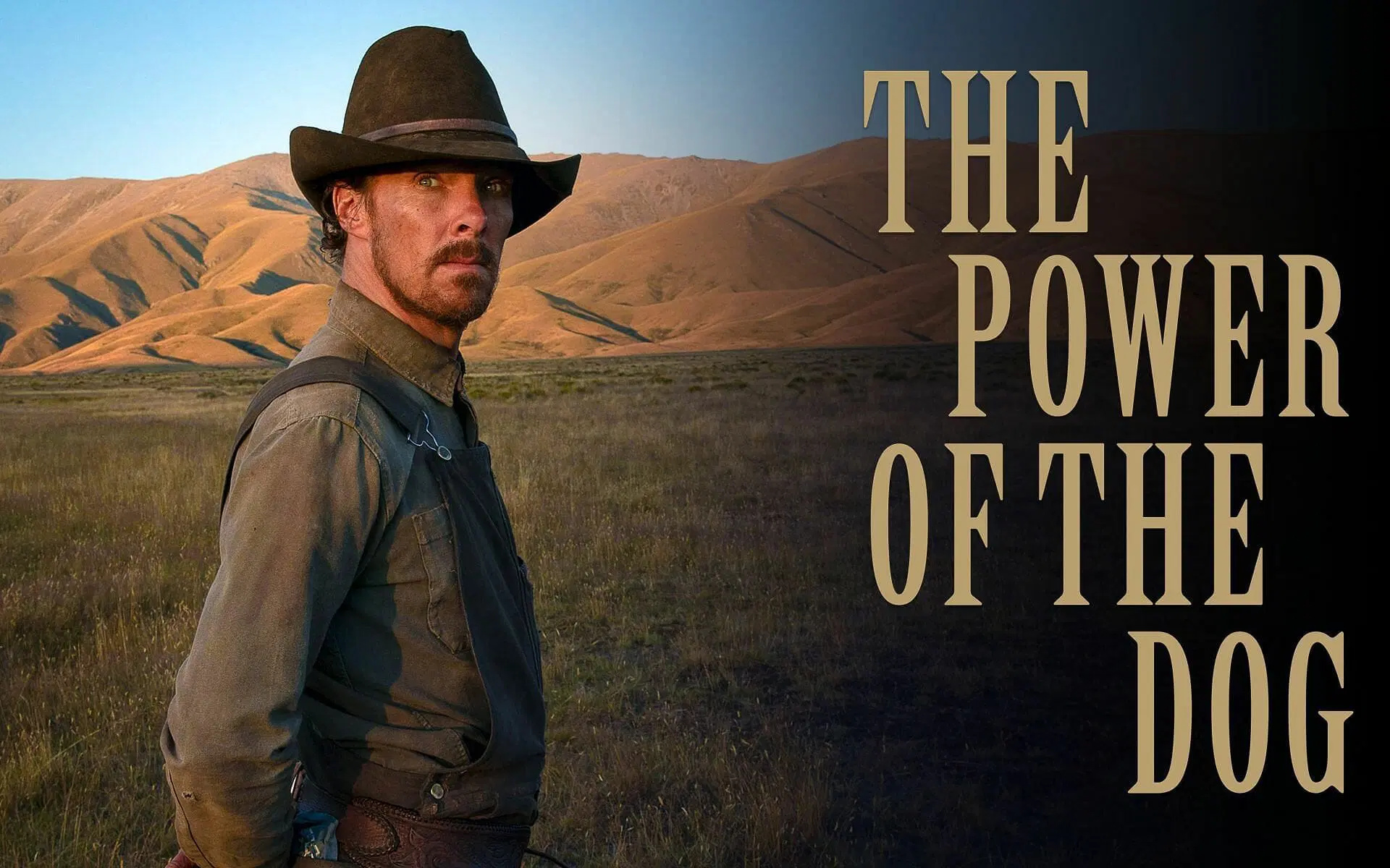 The Power of the Dog, Stream it or skip it, Movie, 1920x1200 HD Desktop