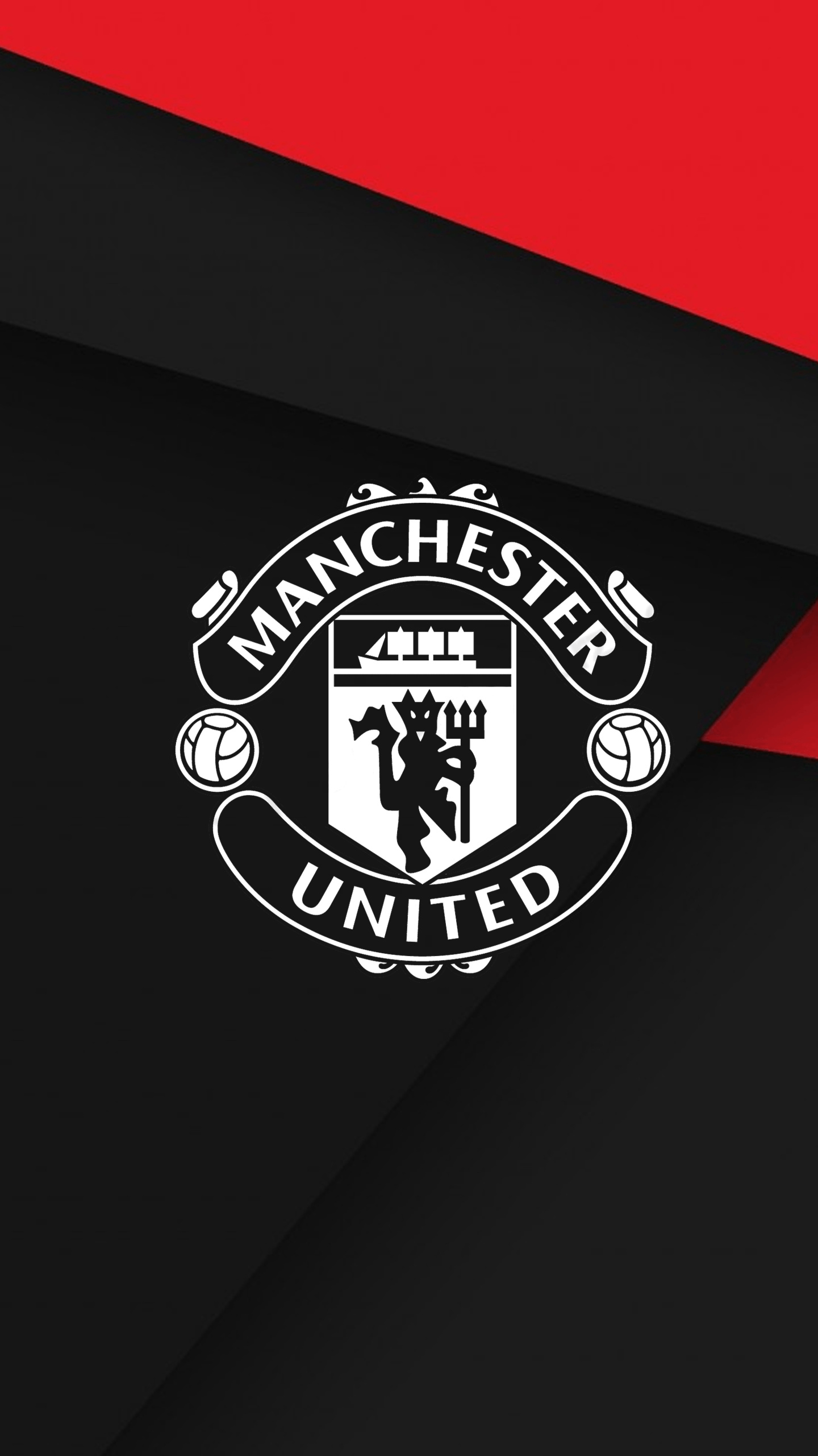 Manchester United, Stunning wallpapers, Red devils pride, Iconic emblem, 1440x2560 HD Phone