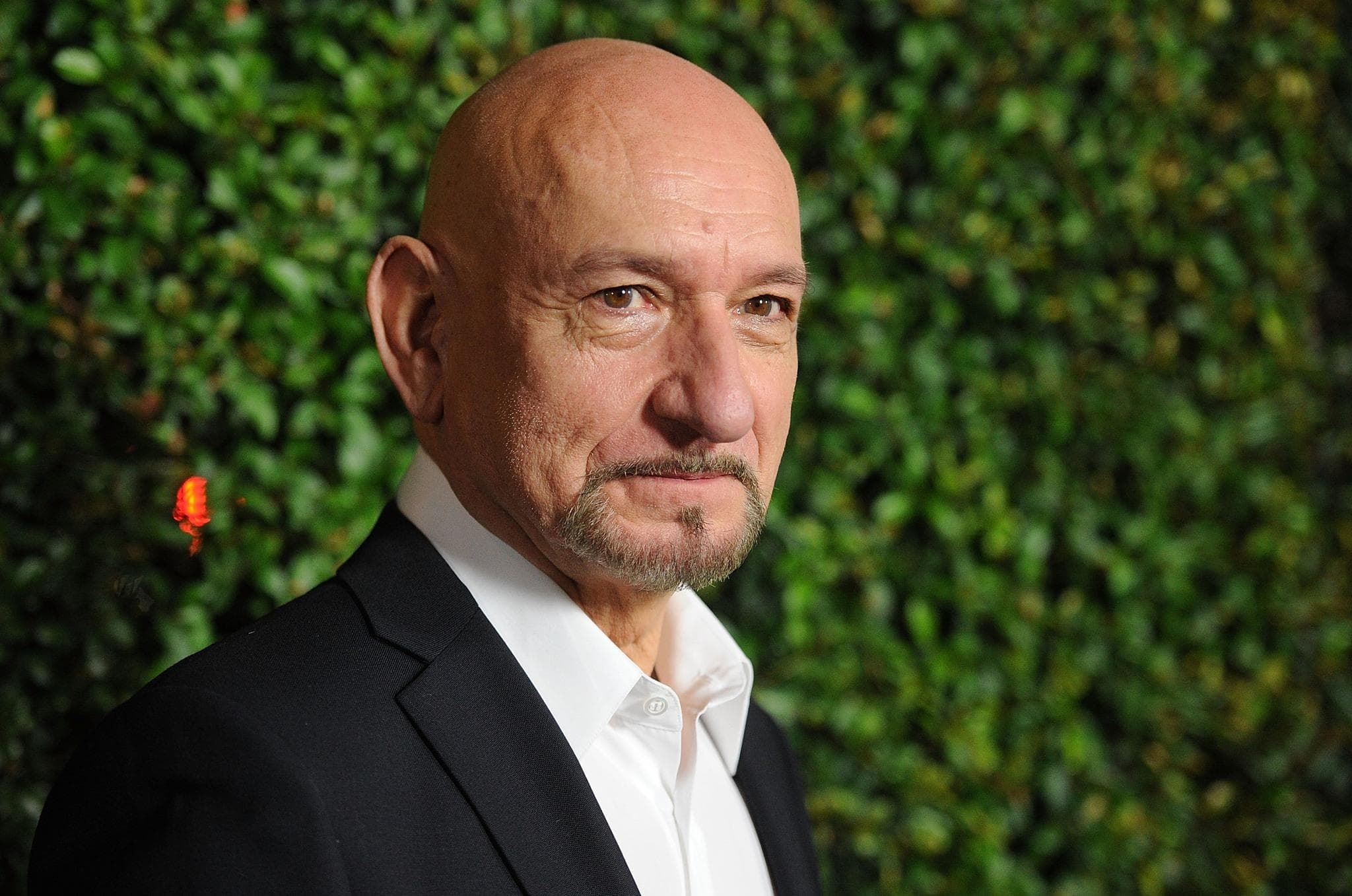 Ben Kingsley, IELTS window, 2050x1360 HD Desktop