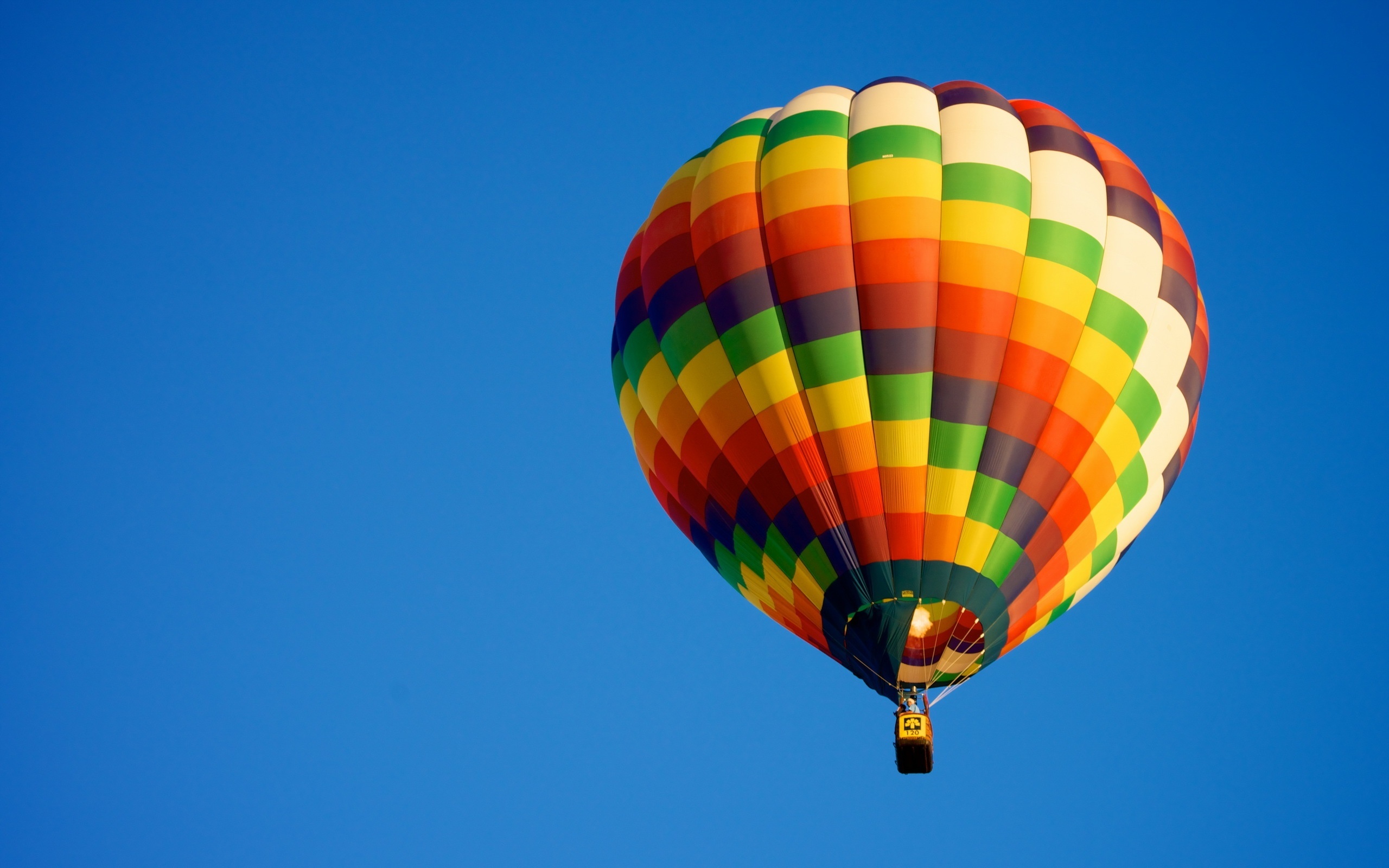 Blue sky adventure, Sports in the air, Floral balloon, Floating dreams, 2560x1600 HD Desktop