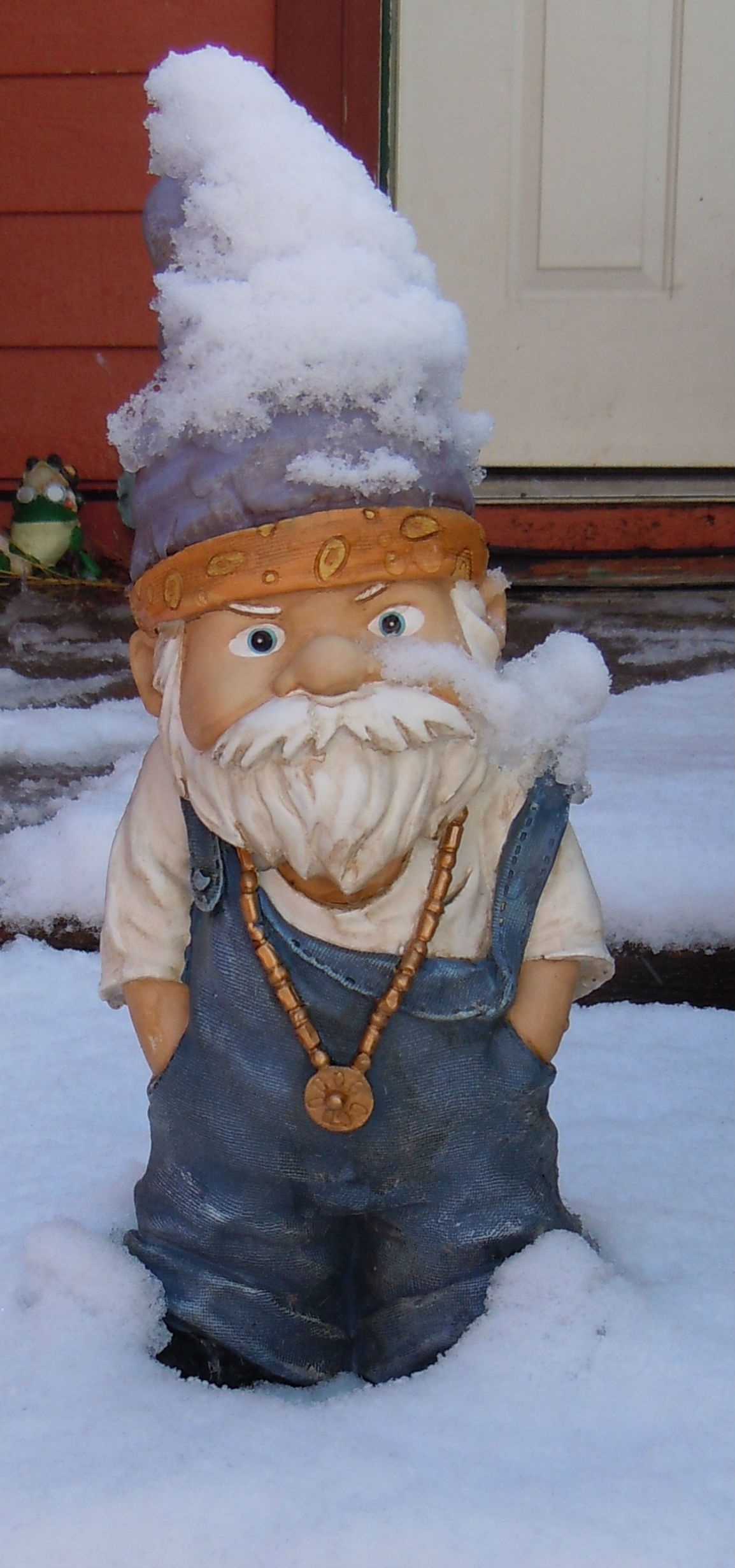 Funny Garden Gnomes, Gnome Garden, Funny Gnomes, 1160x2470 HD Phone