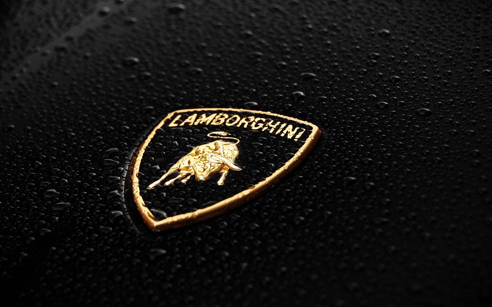 Rain, Lamborghini Logo Wallpaper, 1920x1200 HD Desktop