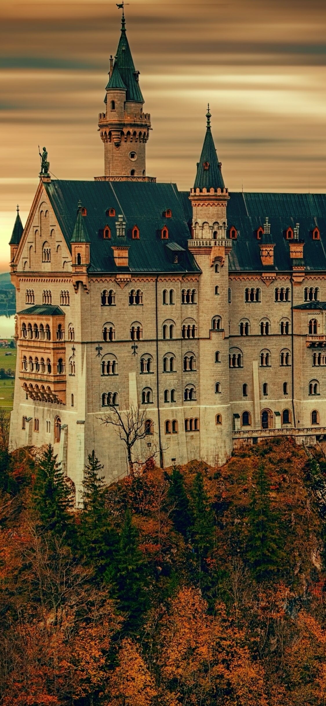 Neuschwanstein Castle, Man-made, Travels,, 1130x2440 HD Phone